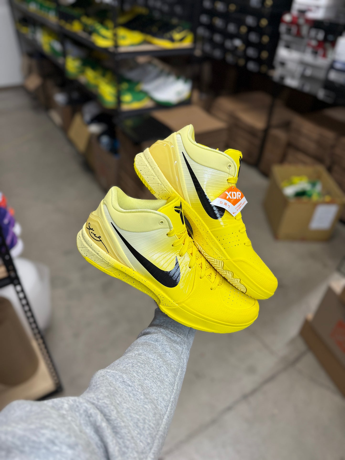 Kobe 4 CHBL (12,14)