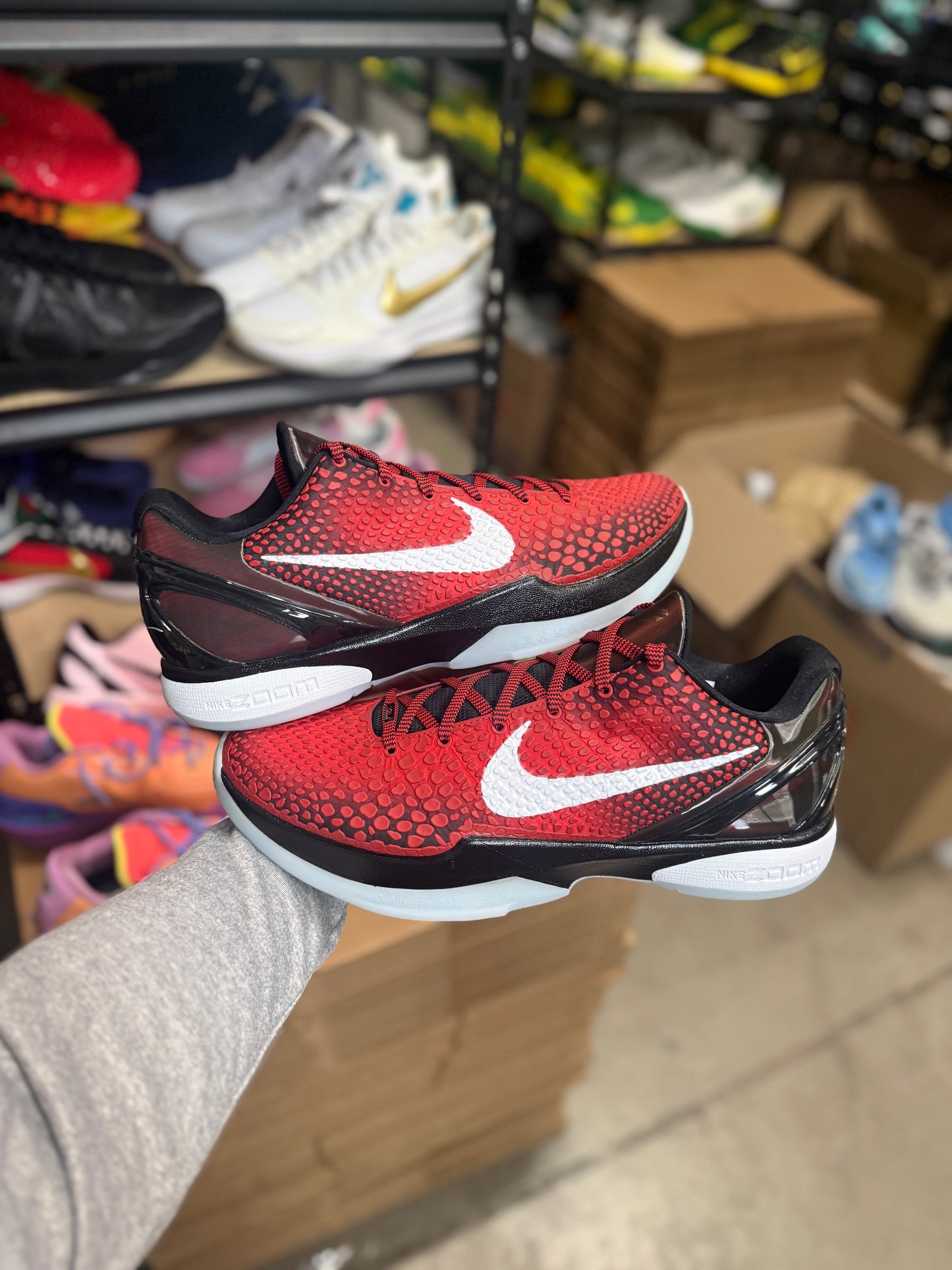 Kobe 6 Allstar (13.5)