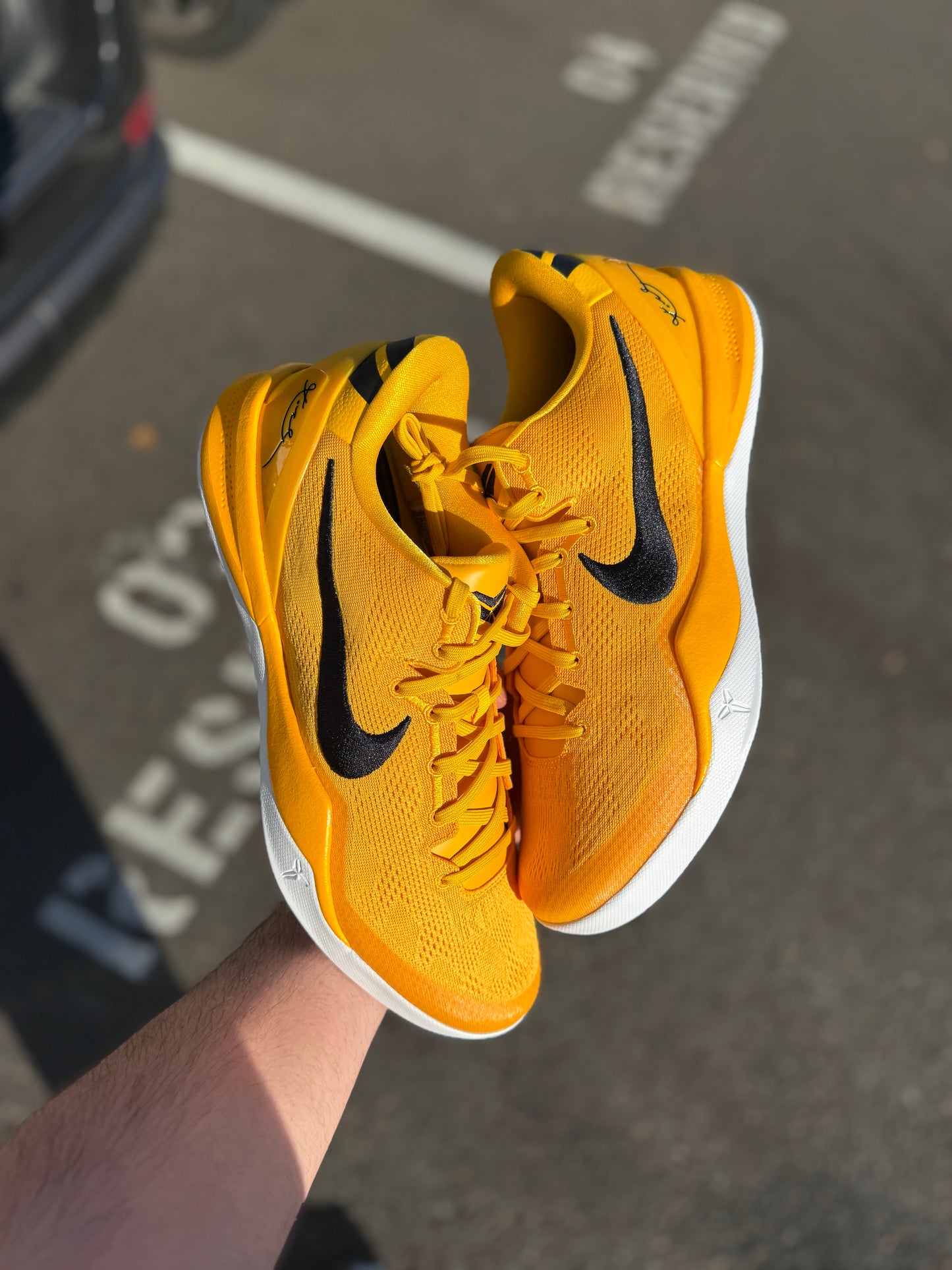 Kobe 8 TB Promo (size 13)