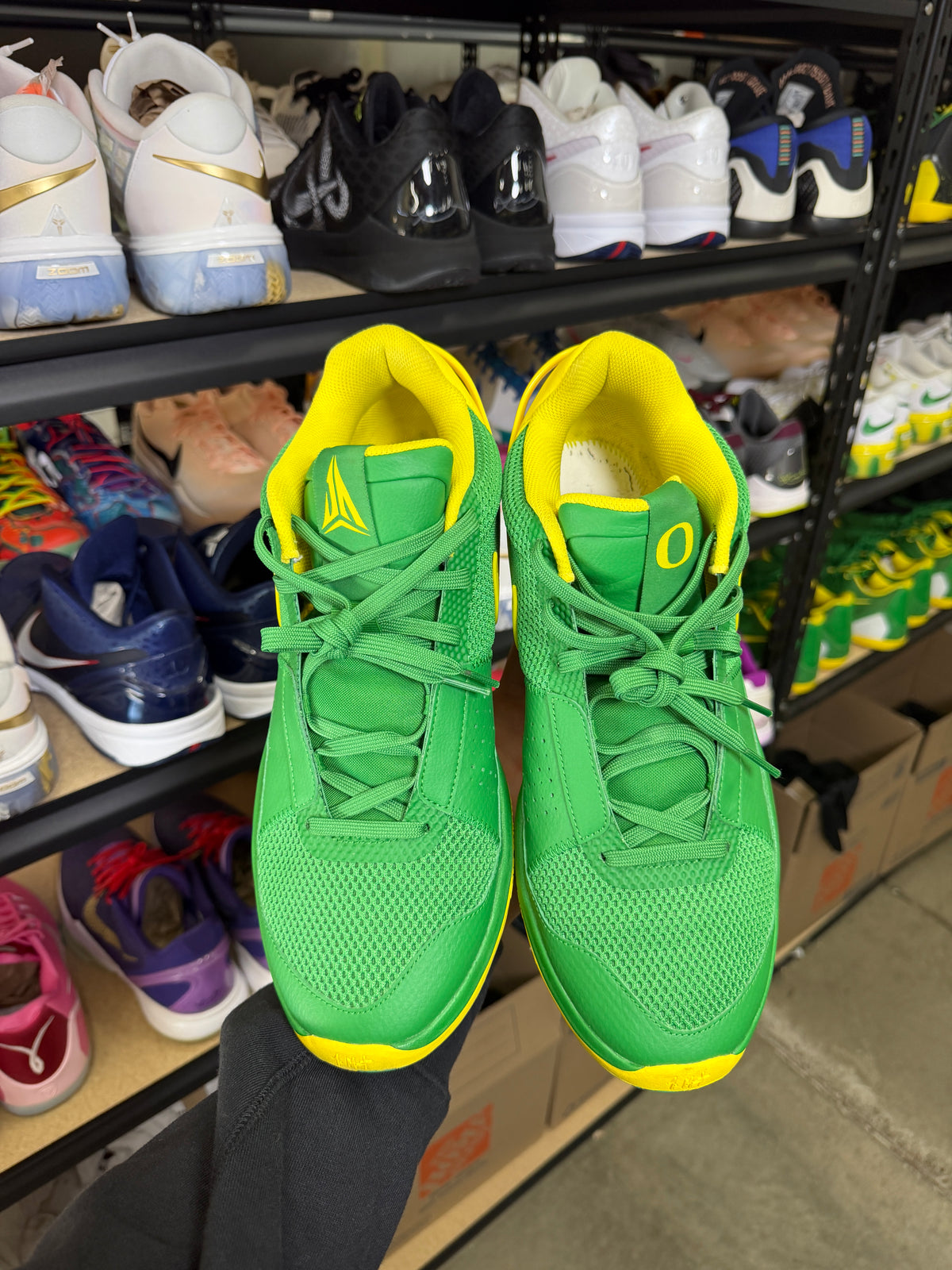 Ja Oregon PE (13)