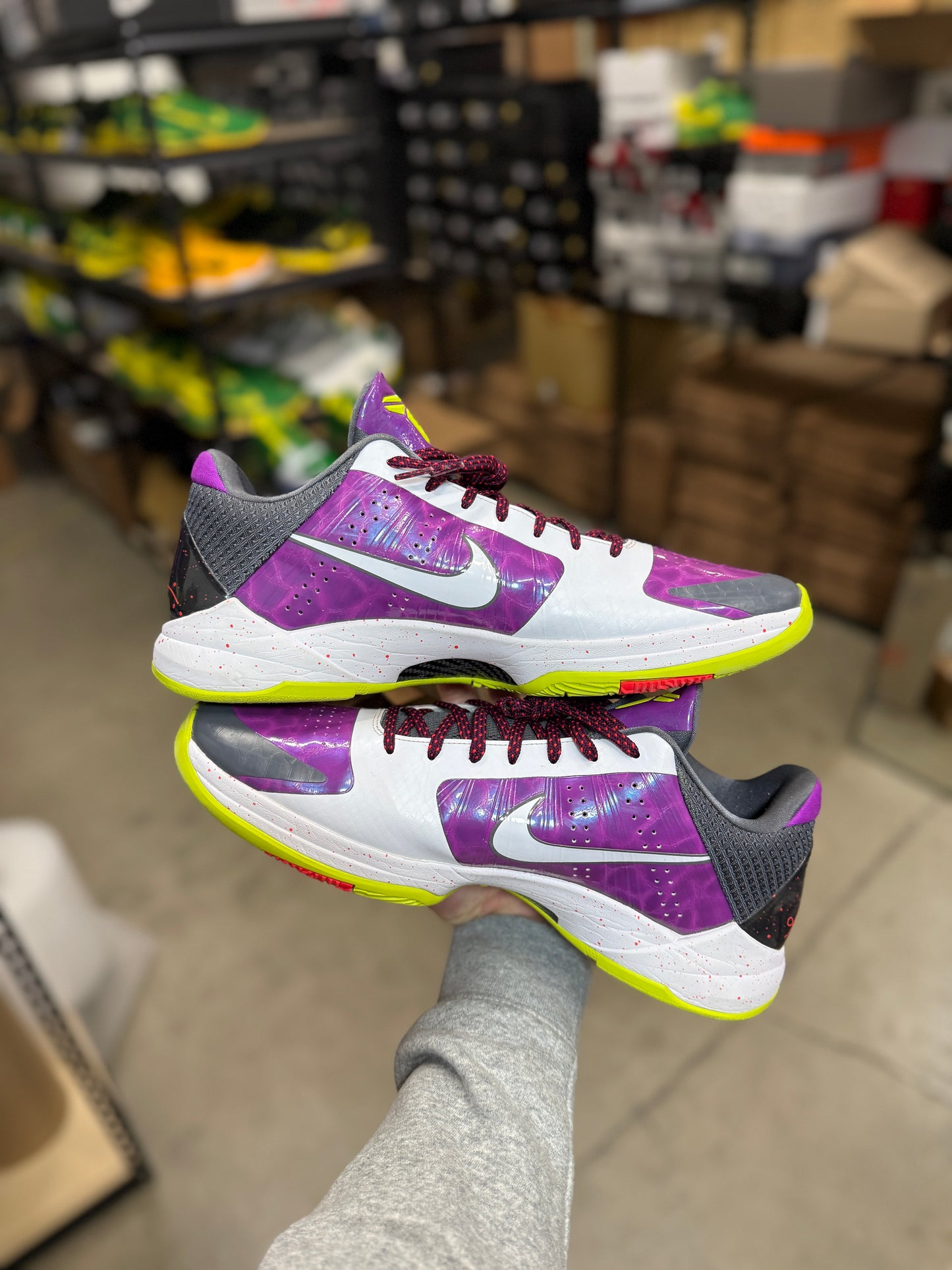 Kobe 5 Dbook PE (14.5)