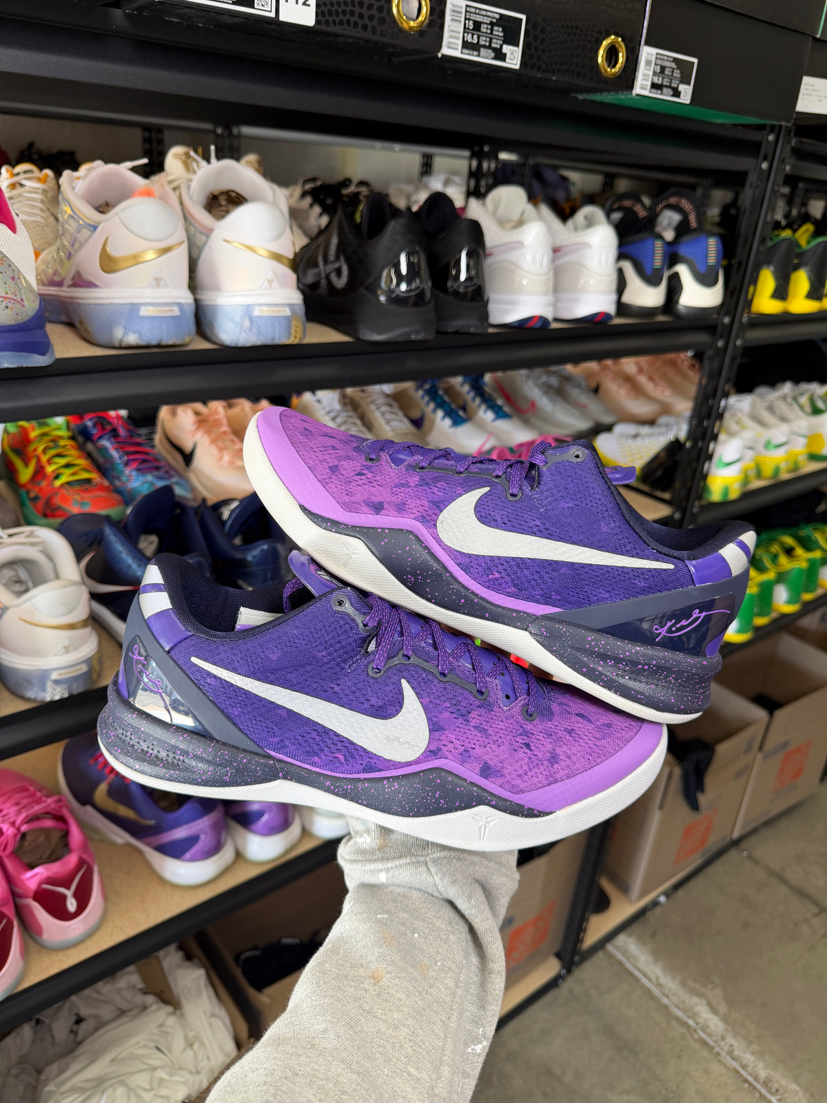Kobe 8 Purple Platinum (10.5)