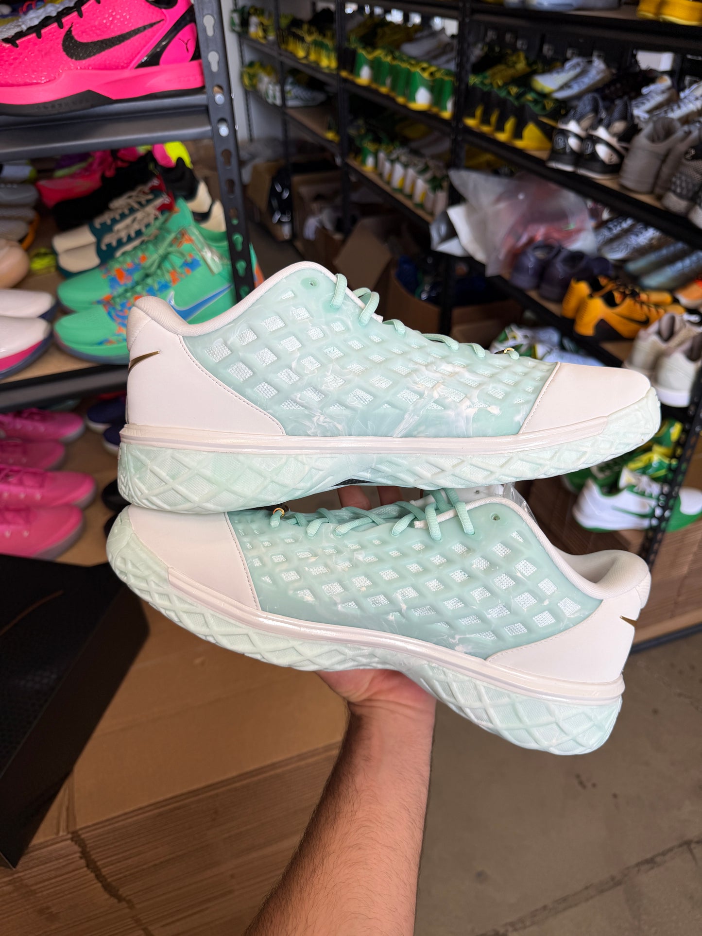Kobe 3 CHBL (14)