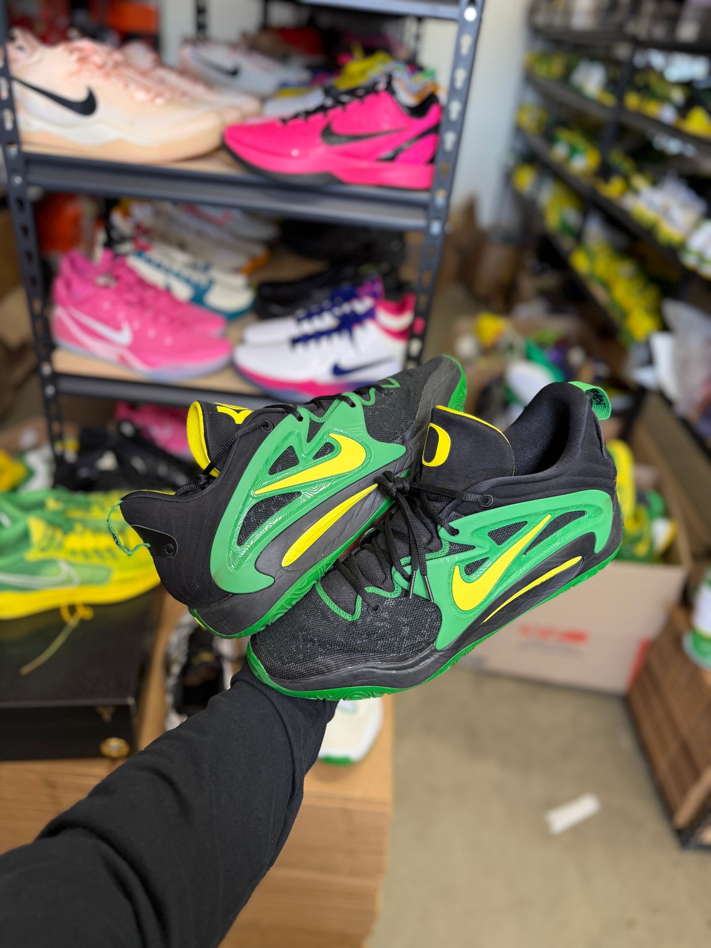 Kd15 Oregon PE (15)