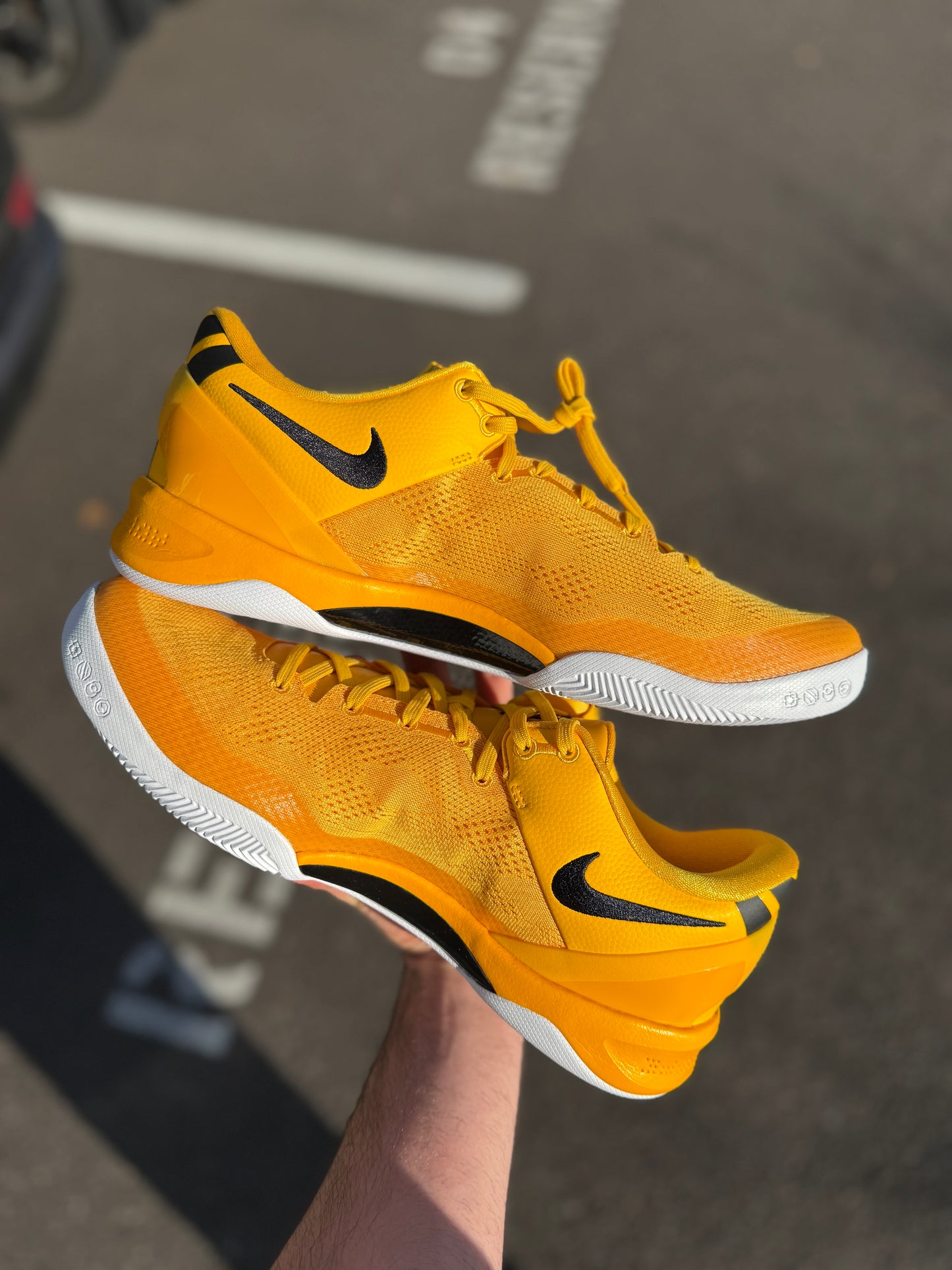 Kobe 8 TB Promo (size 13)