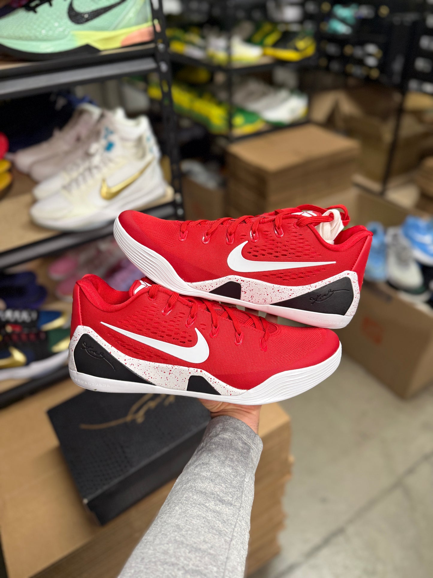 Kobe 9 TB