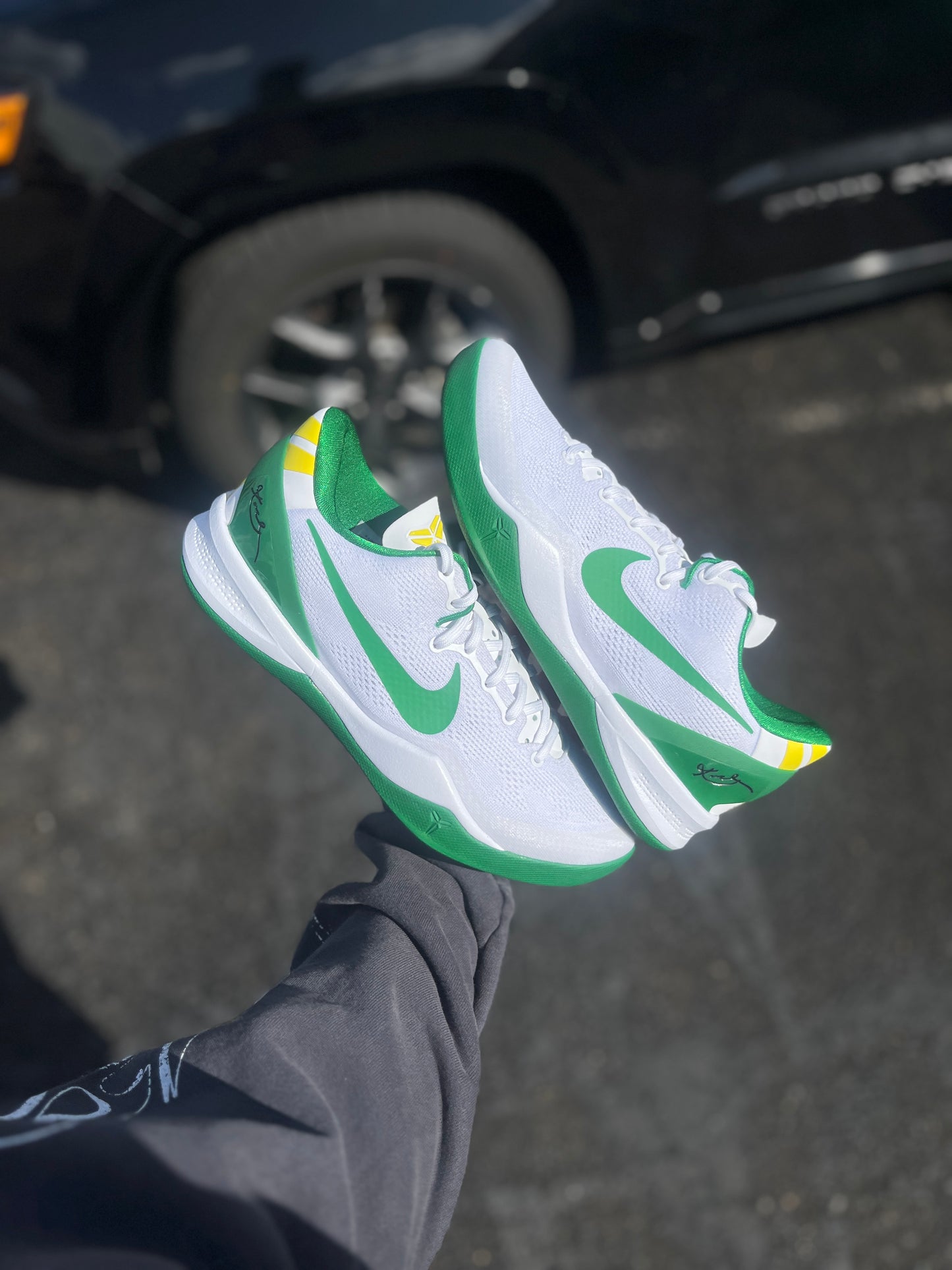 Oregon PE 8 (7.5,9,11.5)