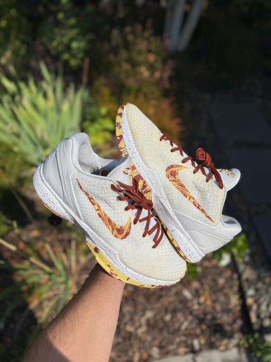 Trevor Ariza PE (size 13.5)