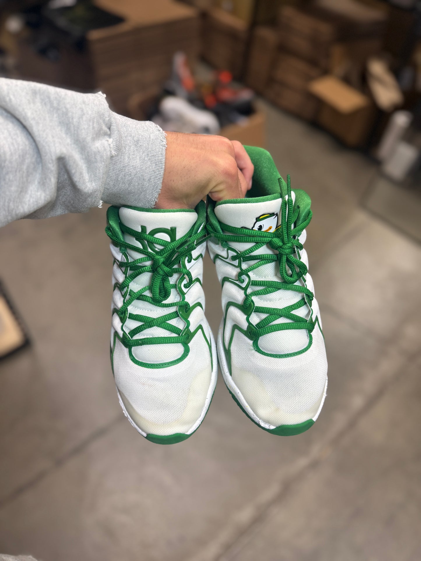 Kd17 Oregon PE (9.5)