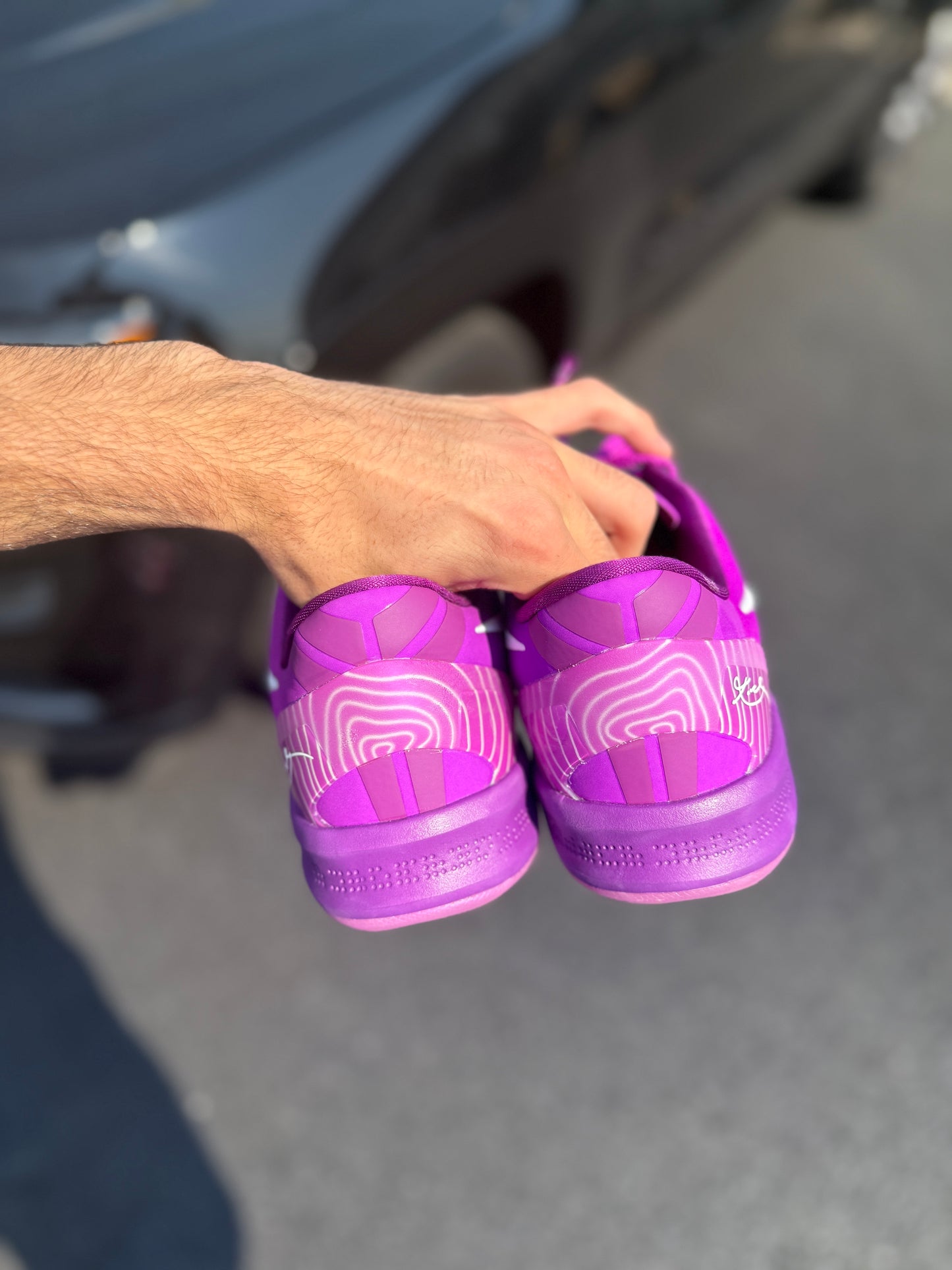 Eybl 8 (size 14)