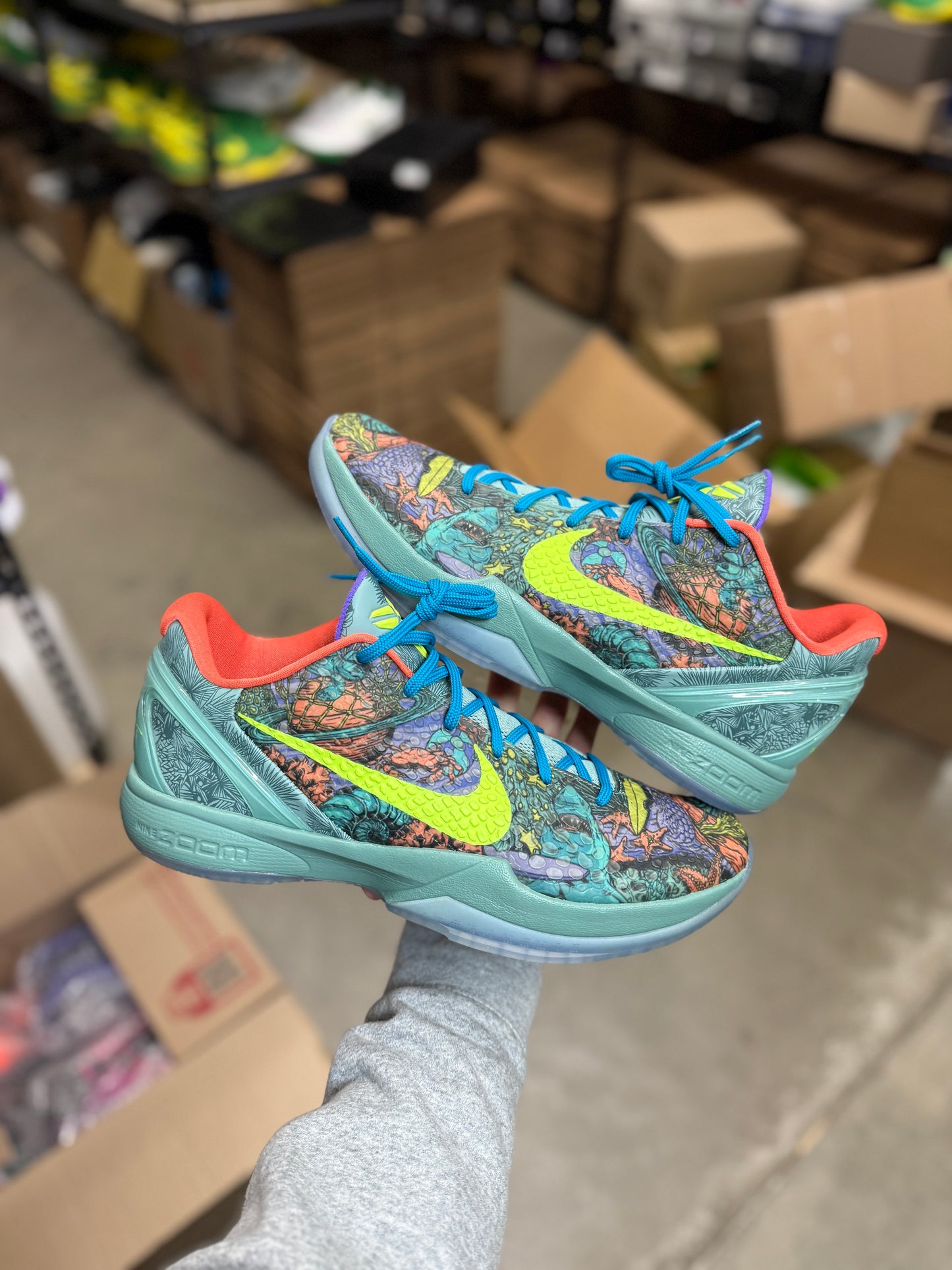 Kobe 6 Prelude (13)