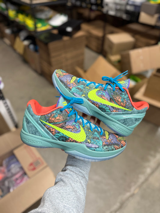 Kobe 6 Prelude (13)