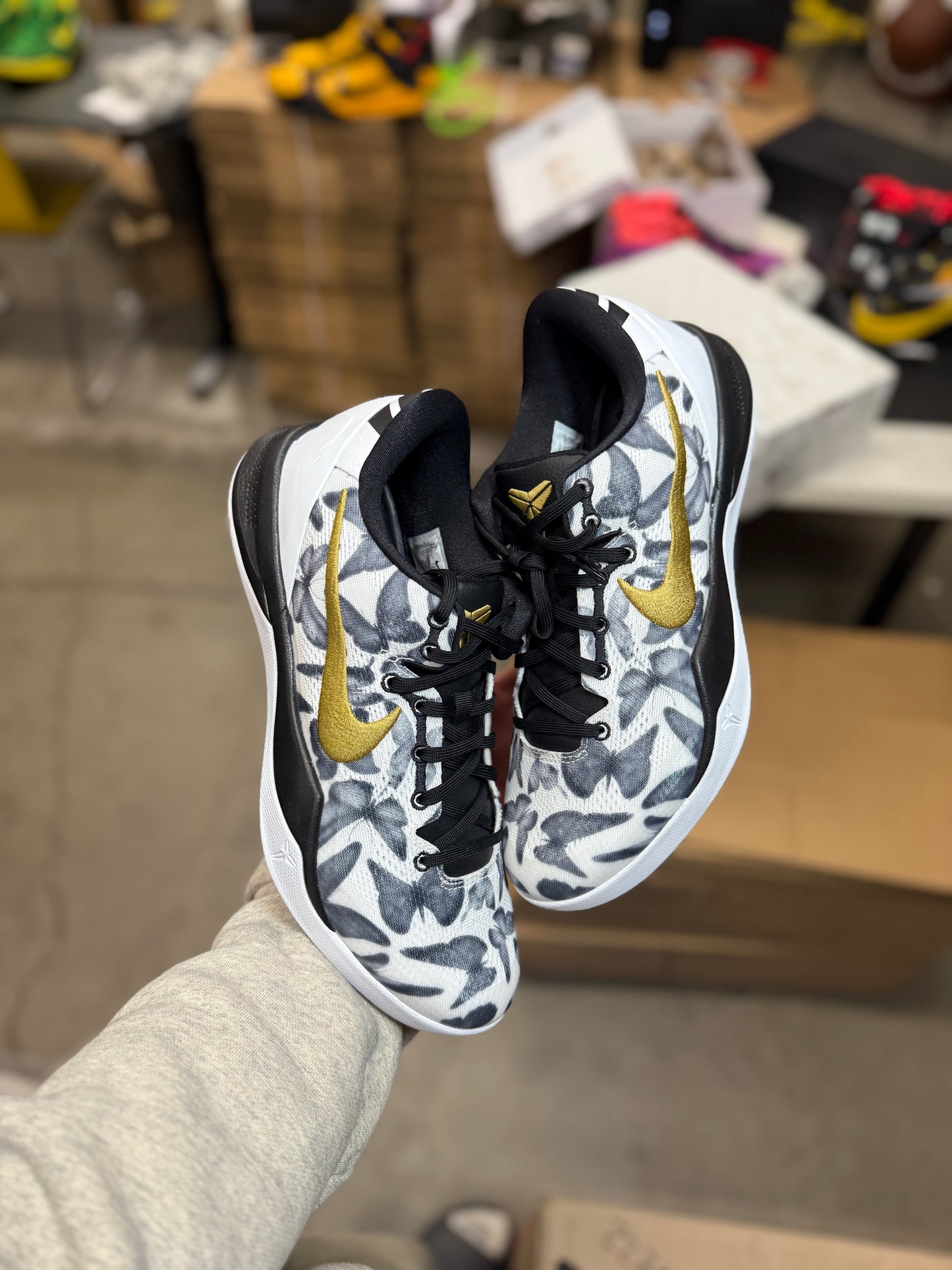 Kobe 8 Mambacita (11)