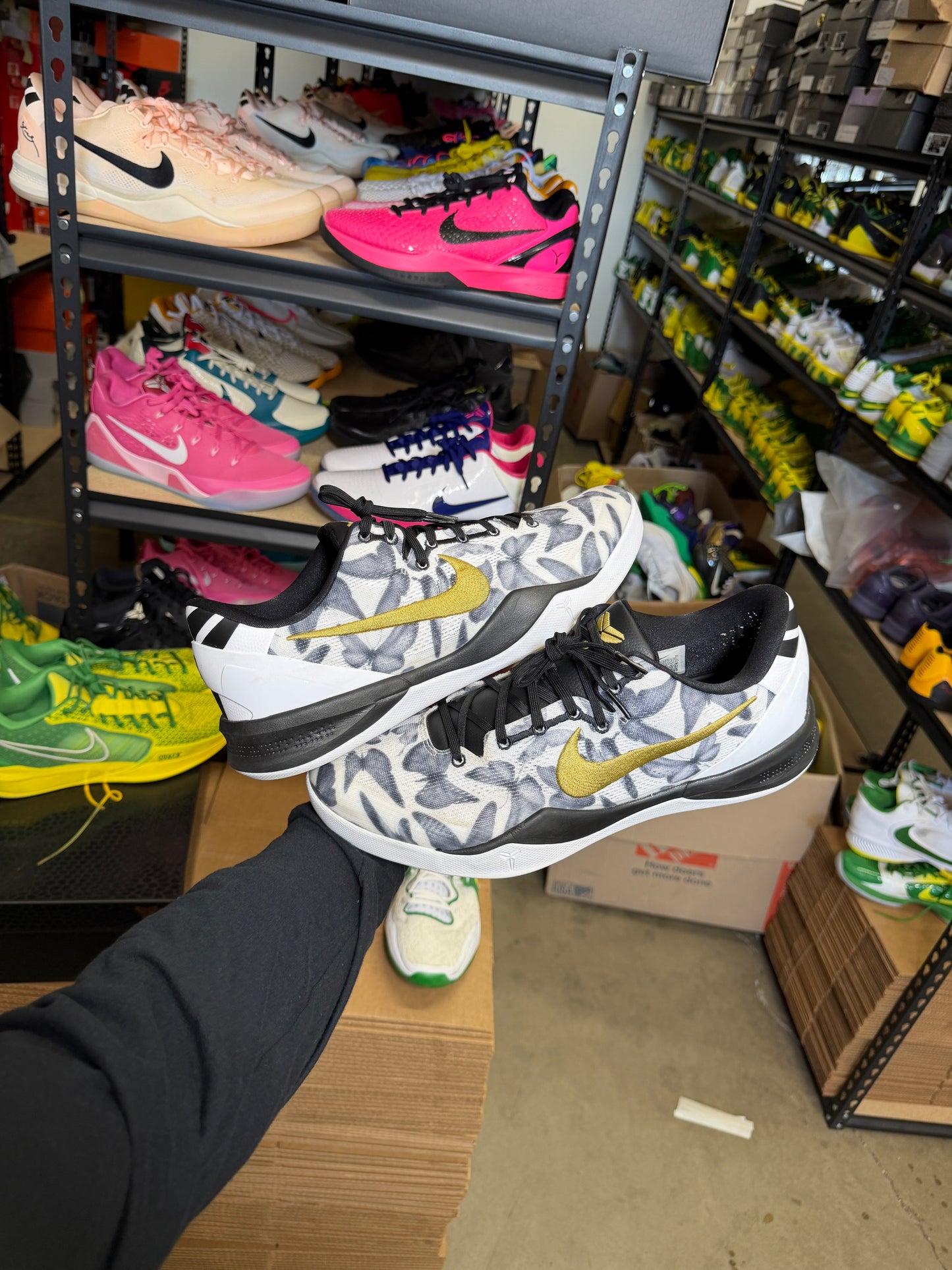 Kobe 8 Mambacita (14)