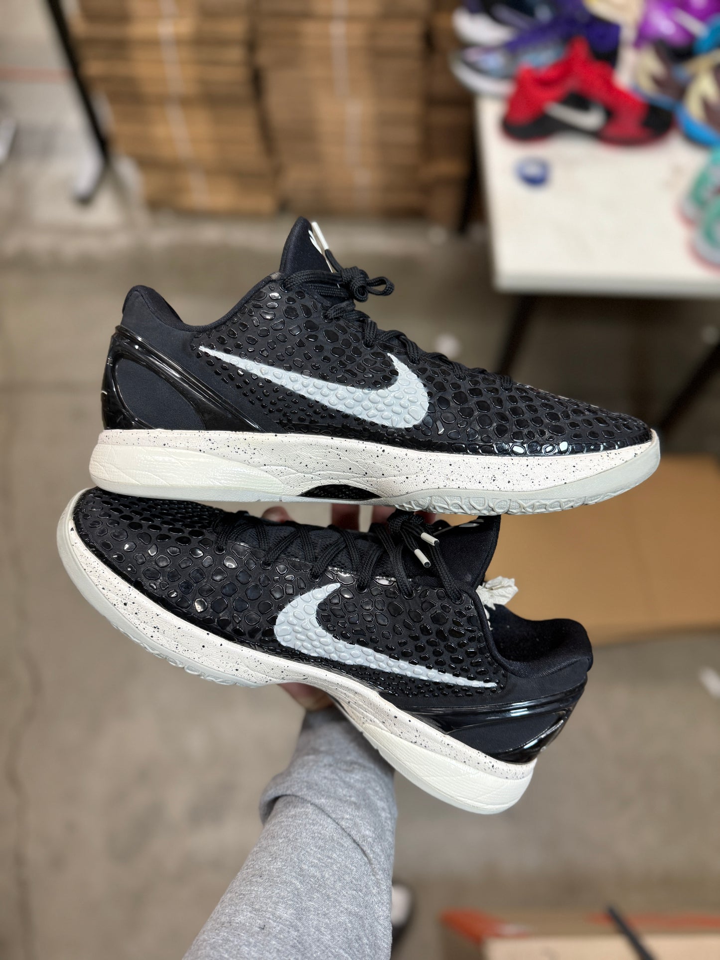 Kobe 6 Trevor Ariza PE (13.5)