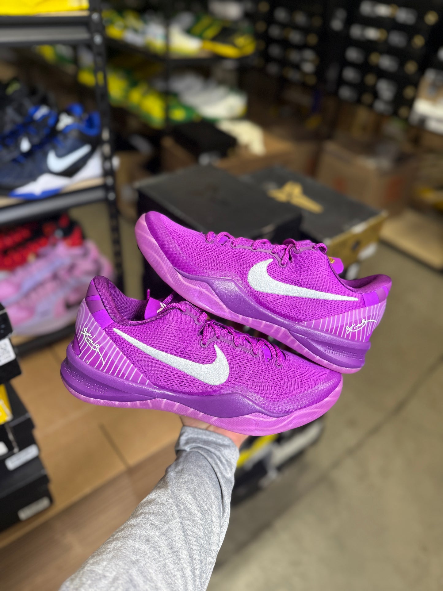 Kobe 8 Eybl (10)