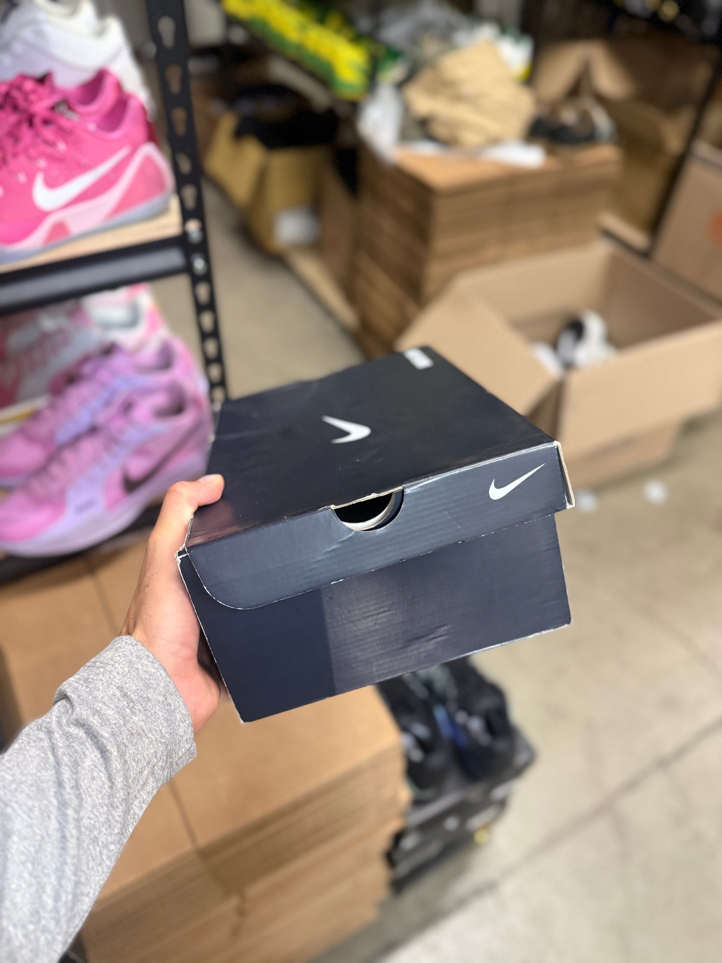 Kobe 11 Northern Lights (10)