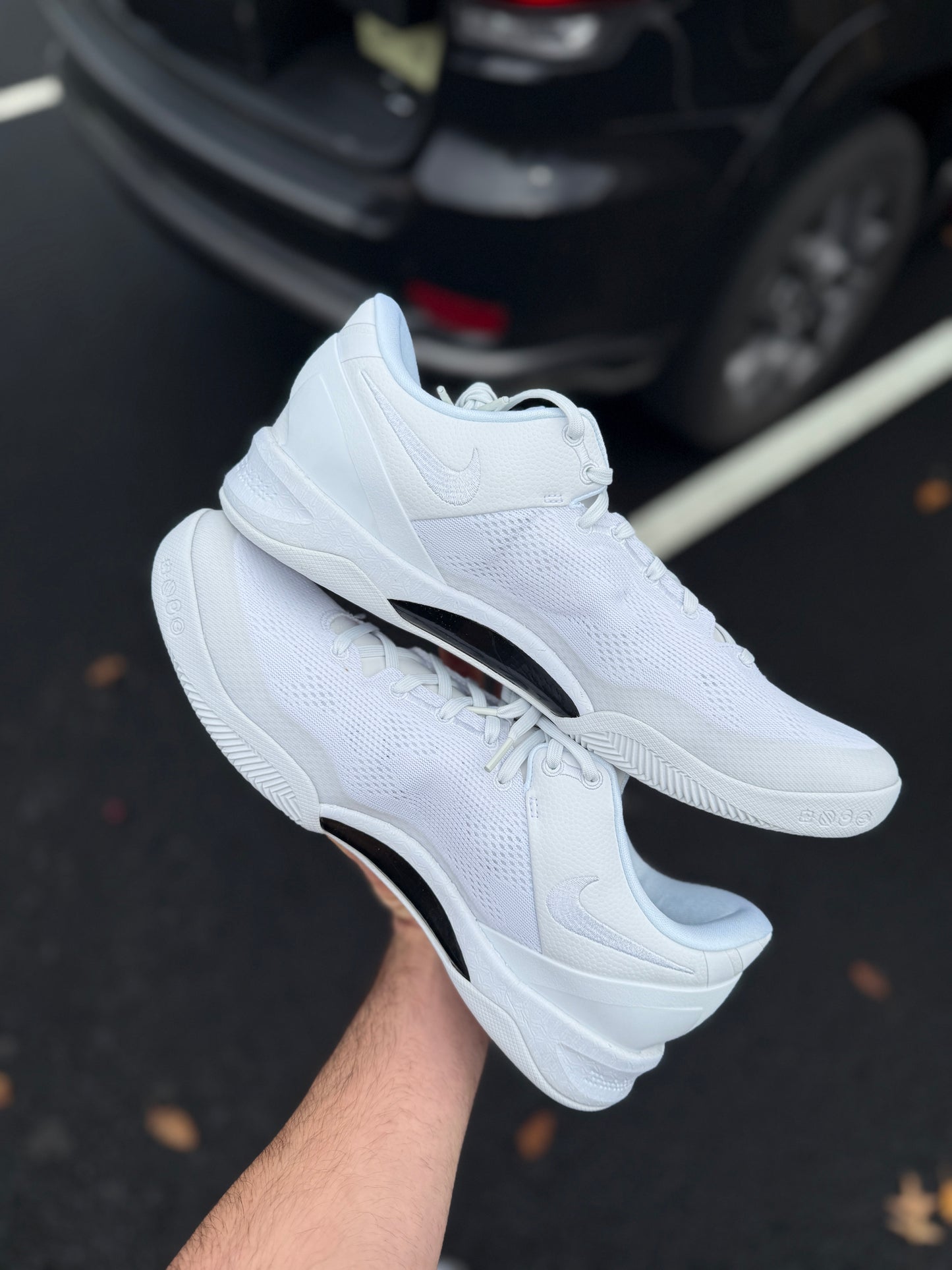 Halo 8s (12.5,13,13.5)