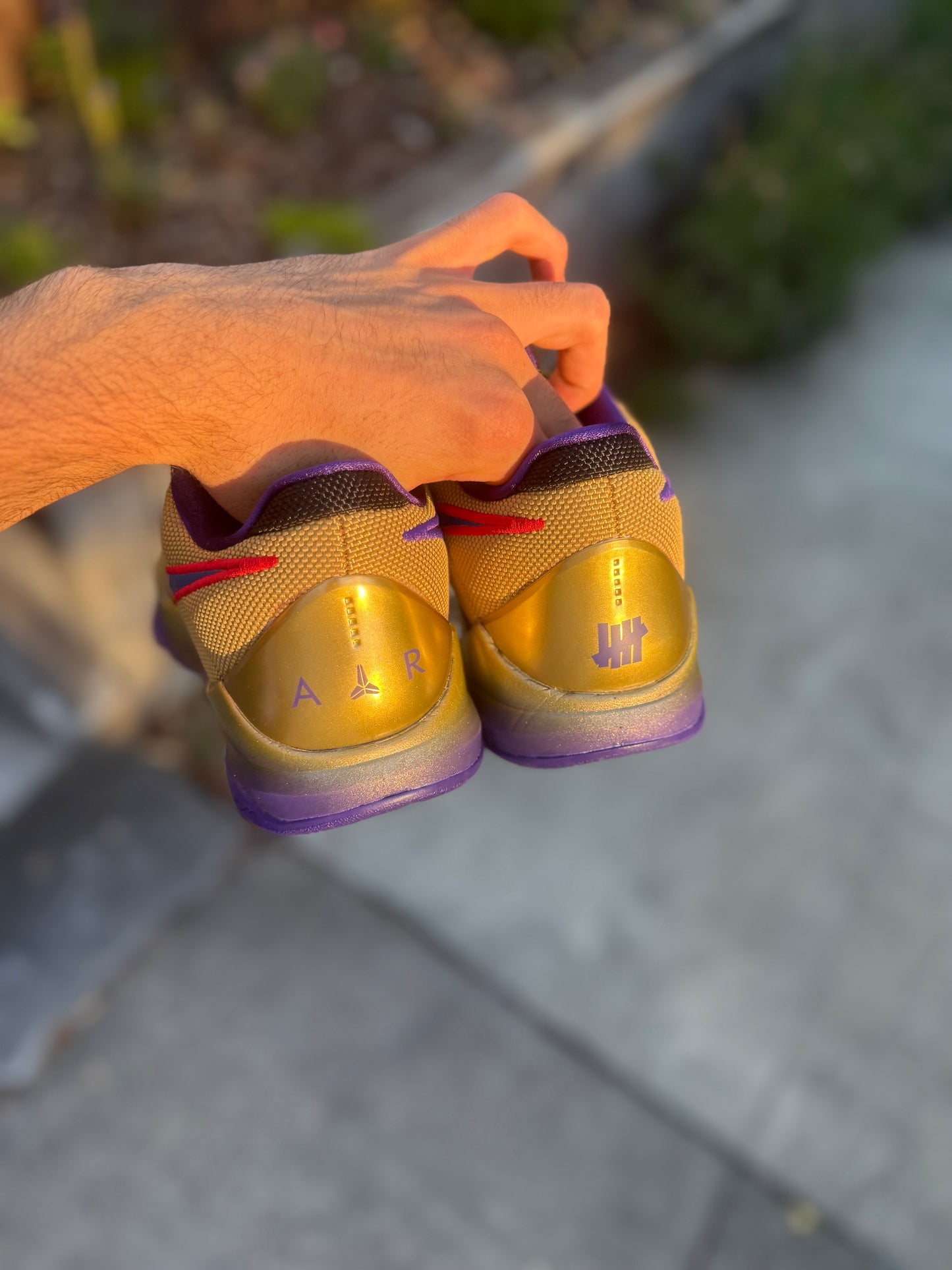 Undefeated 5 (11,11.5)