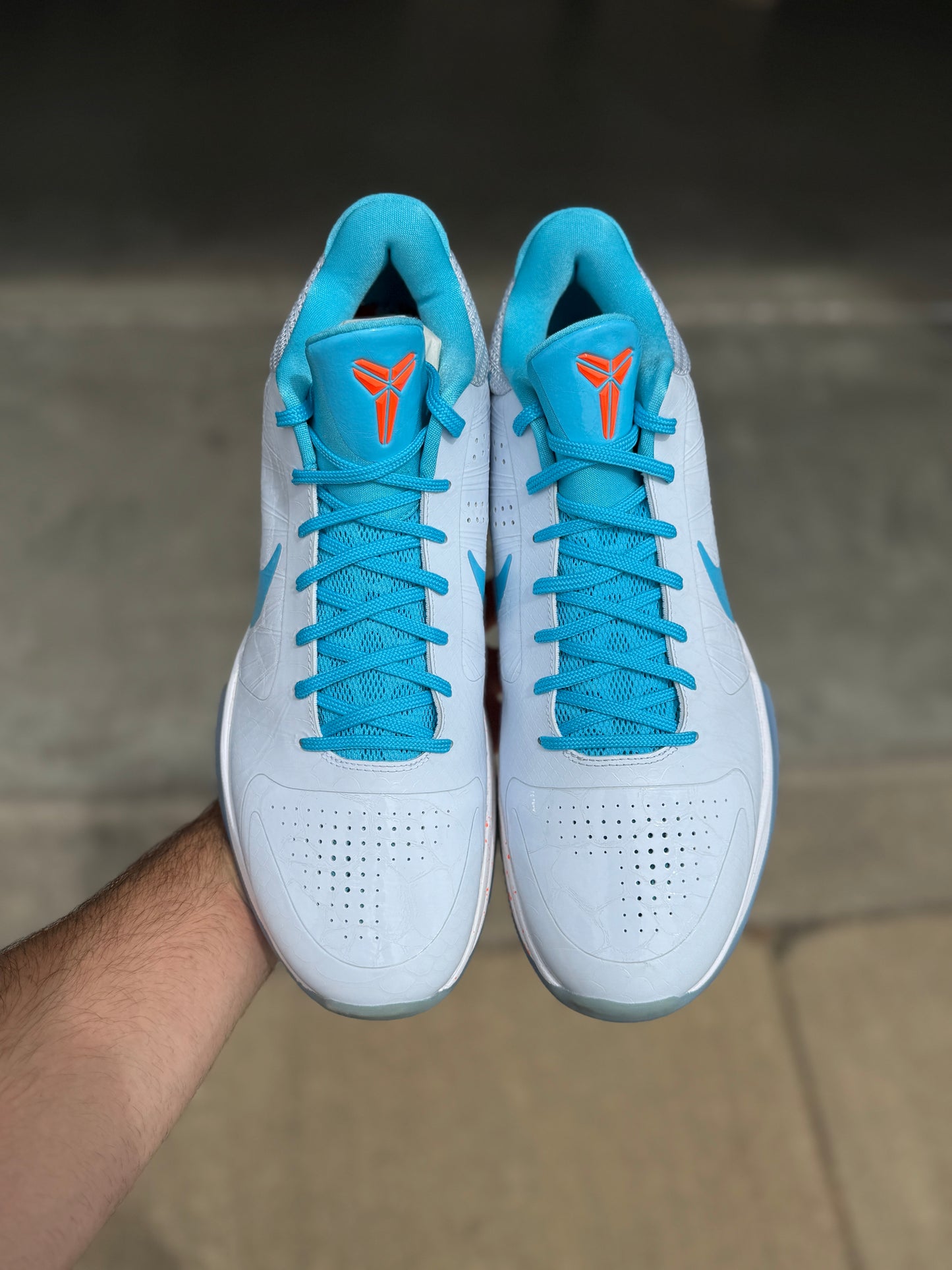 Tobias Harris PE (size 15)
