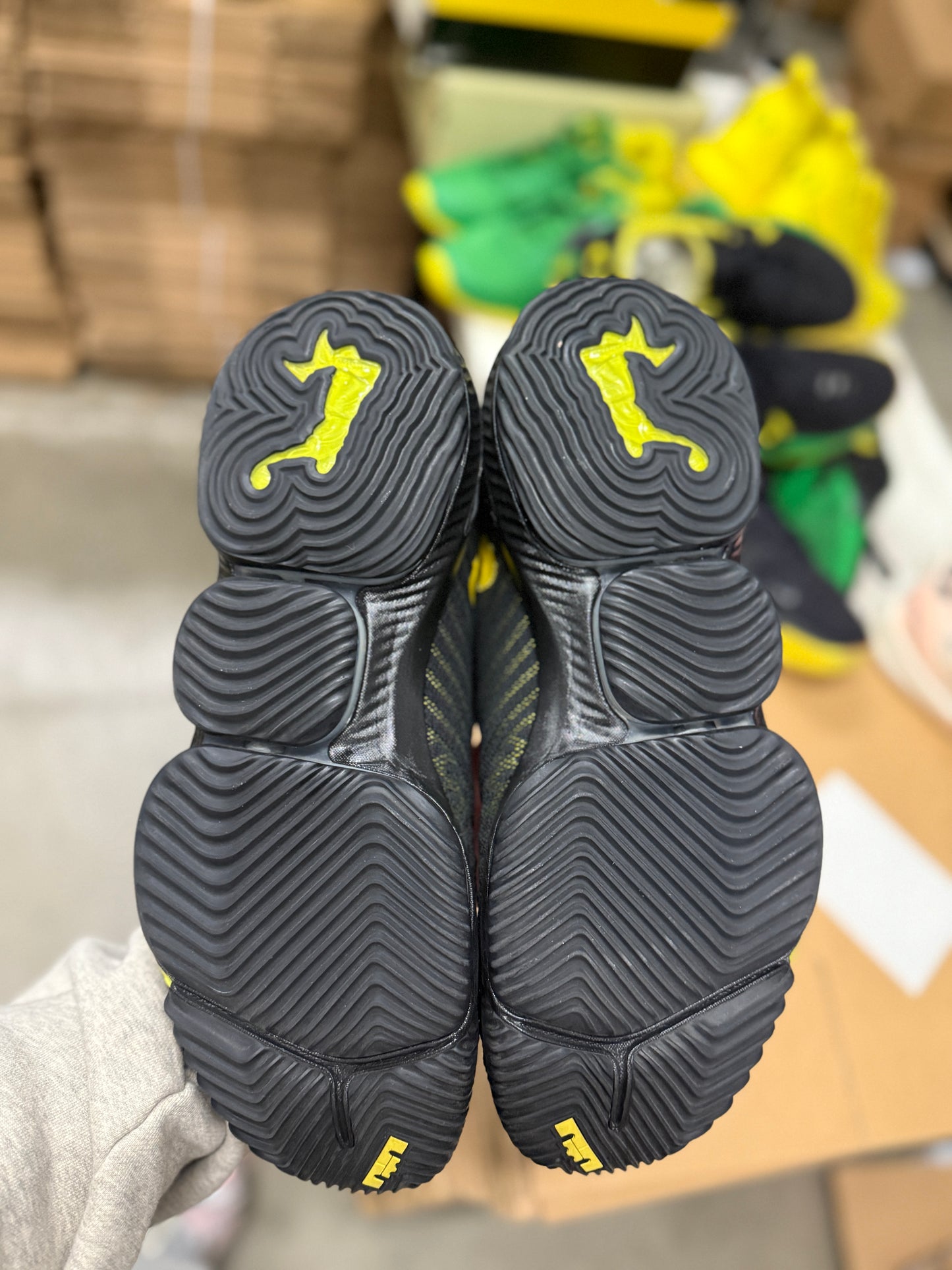 LeBron Oregon PE (size 15)