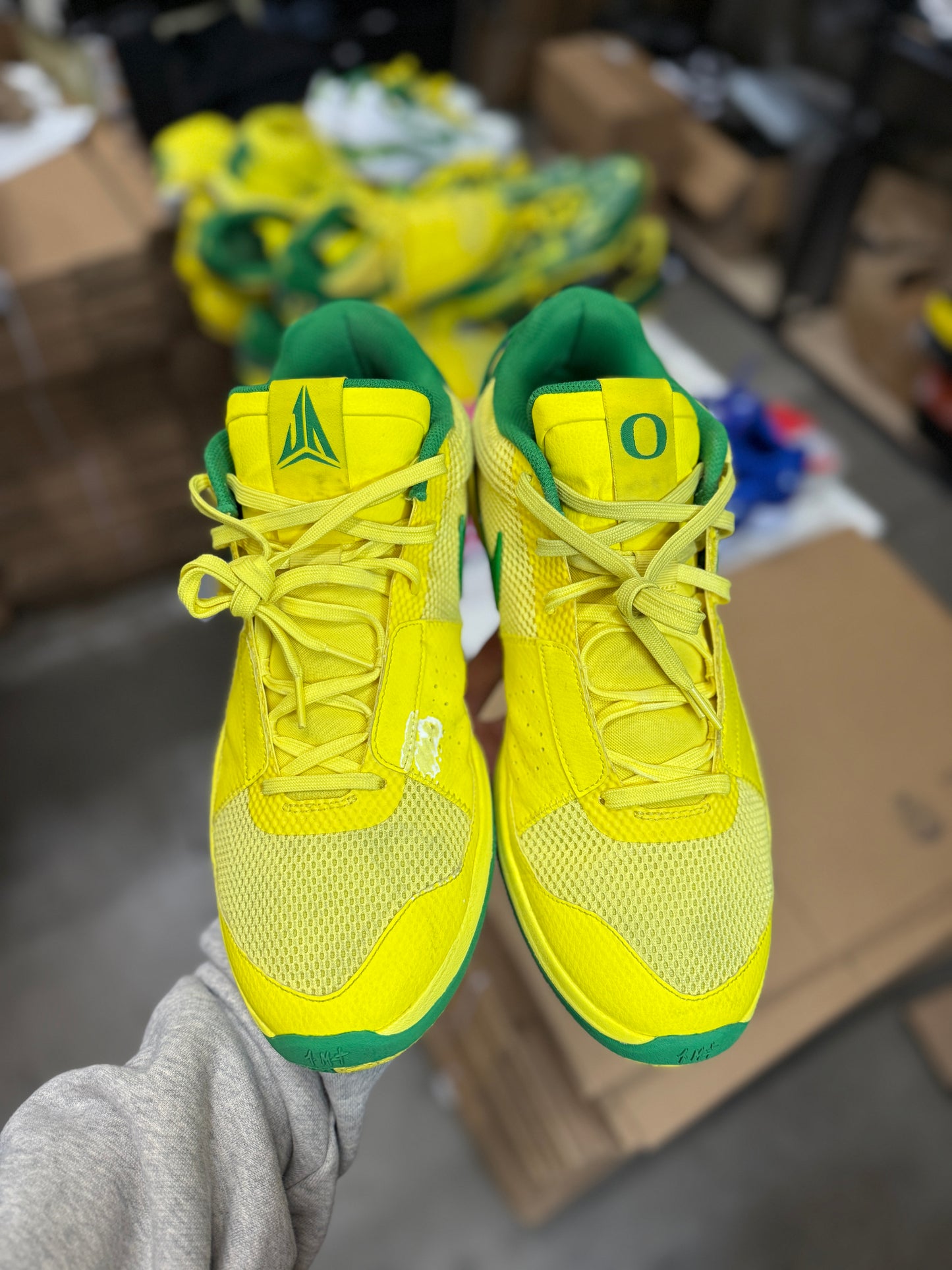 Ja Oregon PE (15)