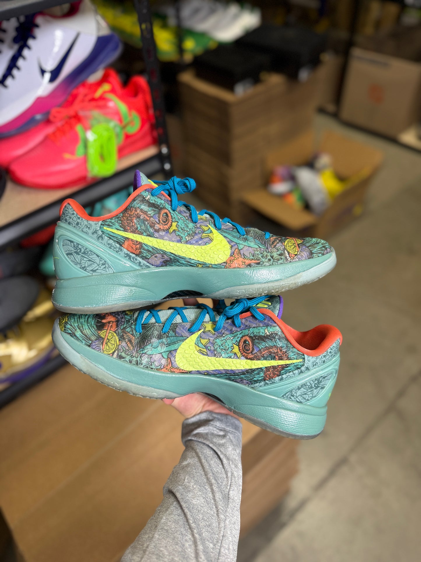 Kobe 6 Prelude (13)