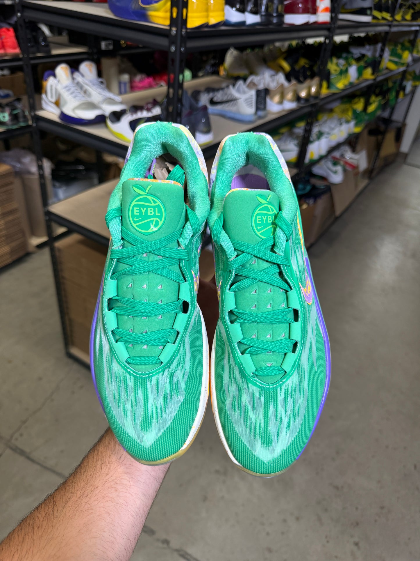 Gt cut Eybl (11.5)