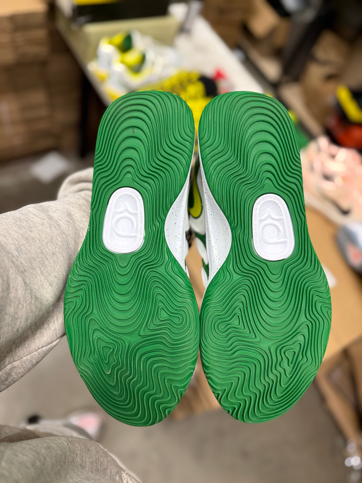 Kd17 Oregon PE (size 15)