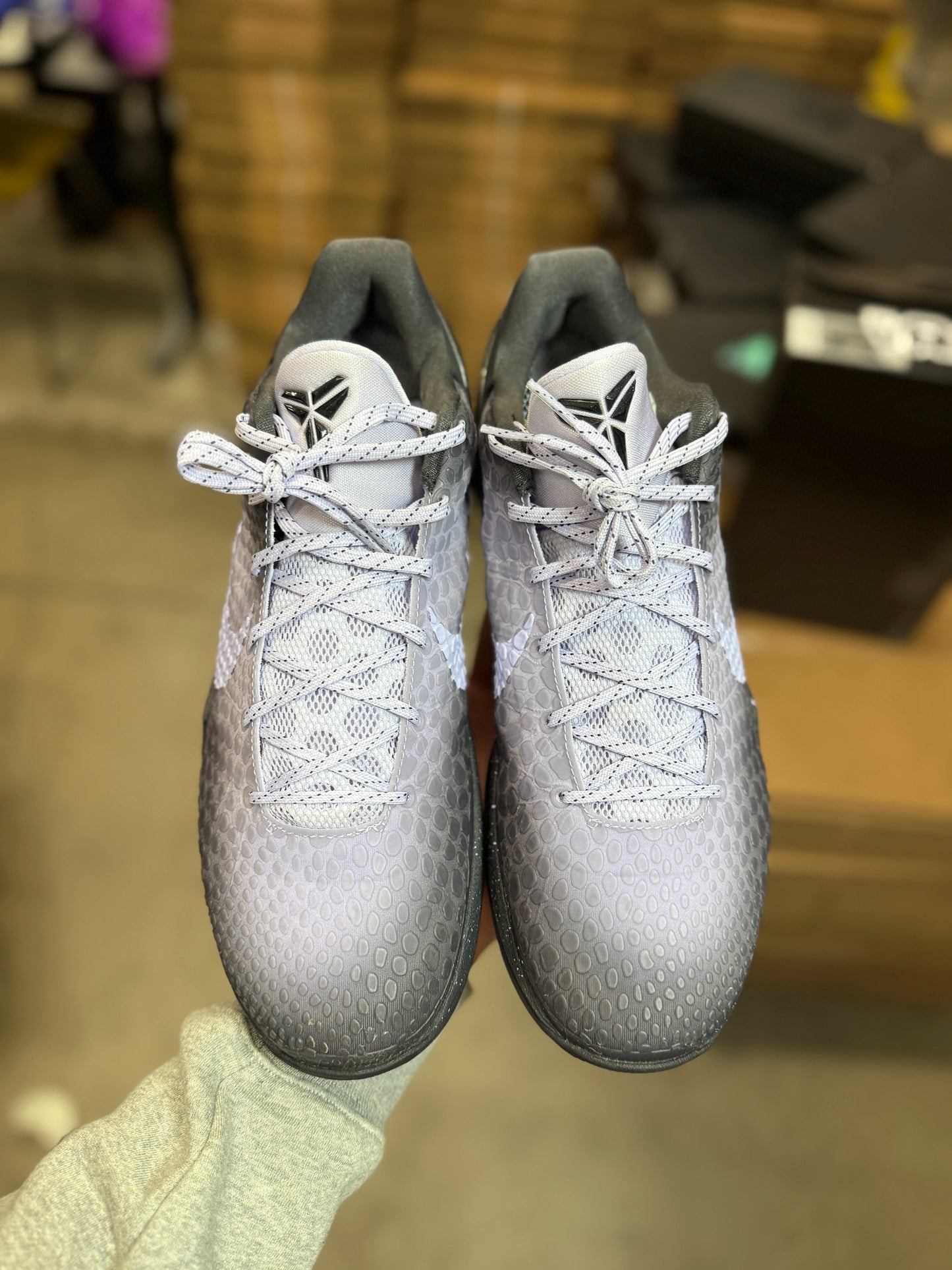 Kobe 6 Eybl (11.5)