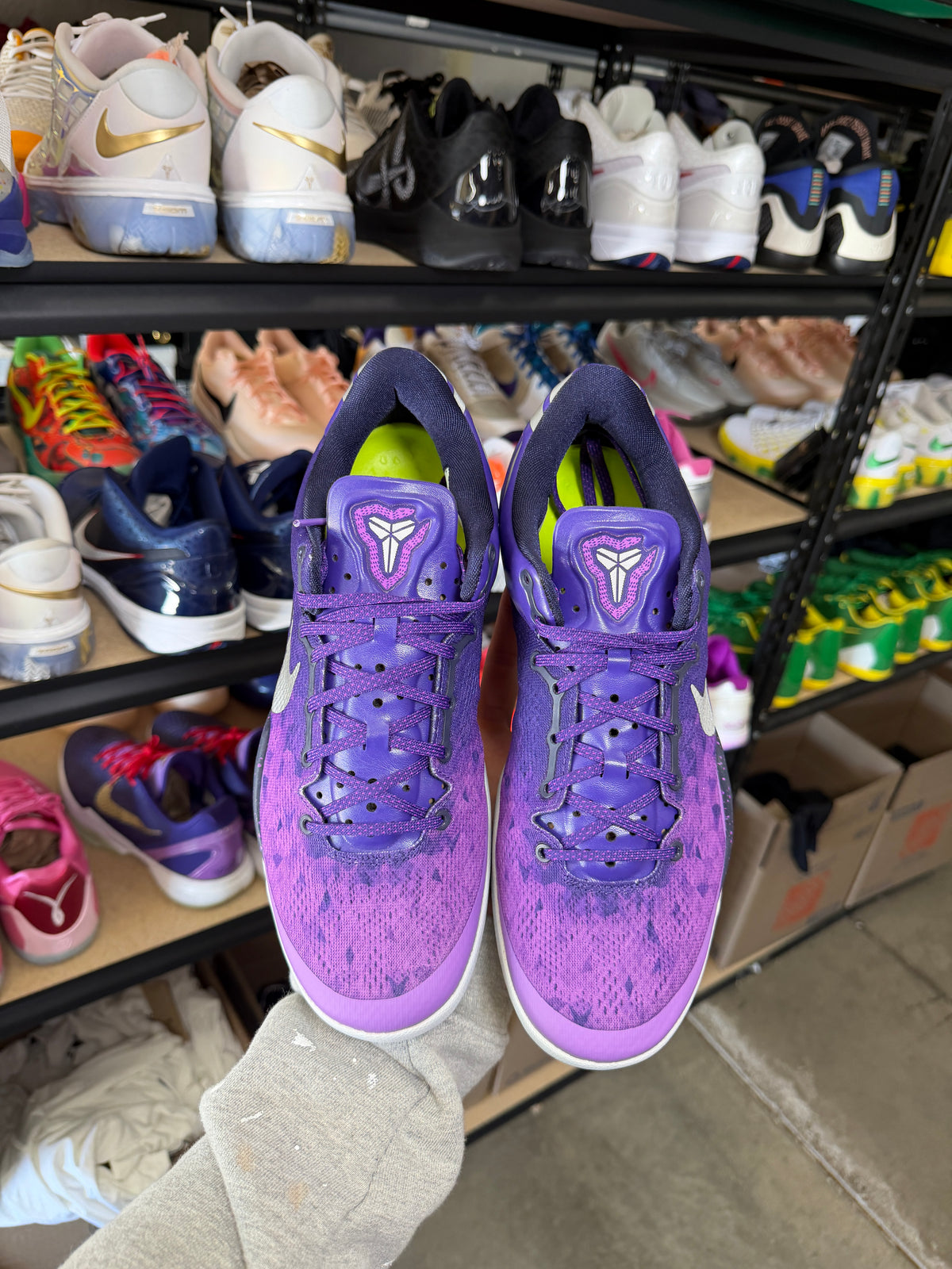 Kobe 8 Purple Platinum (10.5)