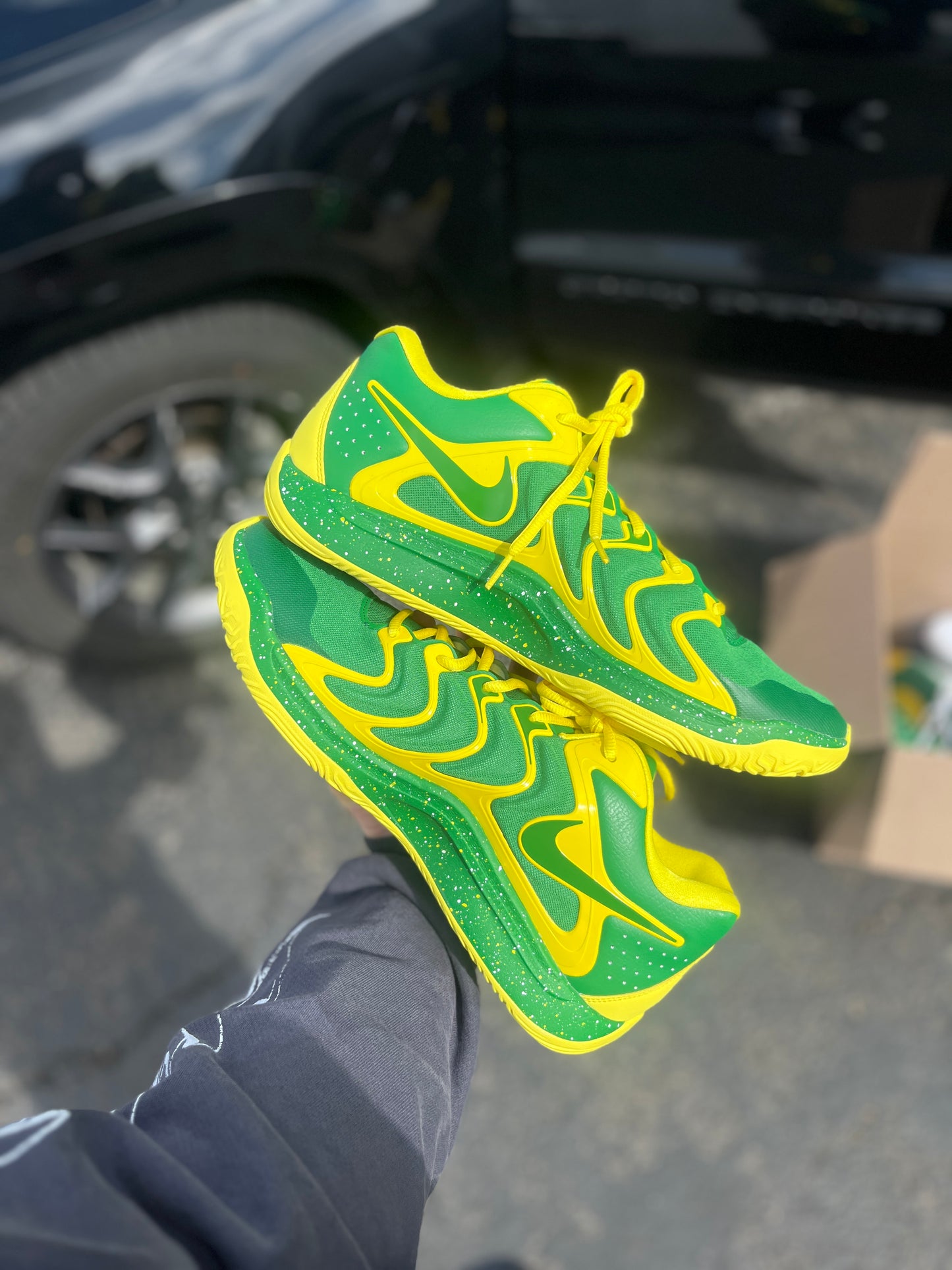 Kd17 Oregon PE (size 14)