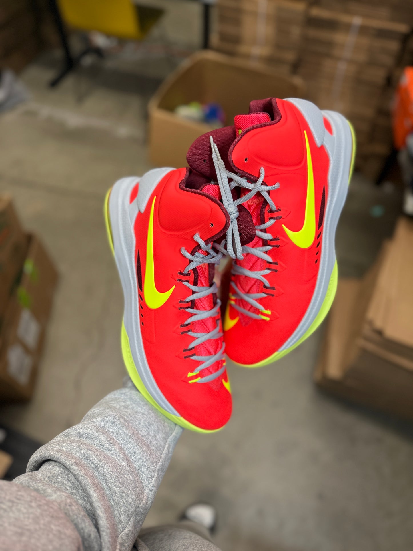 Kd5 DMV (12)