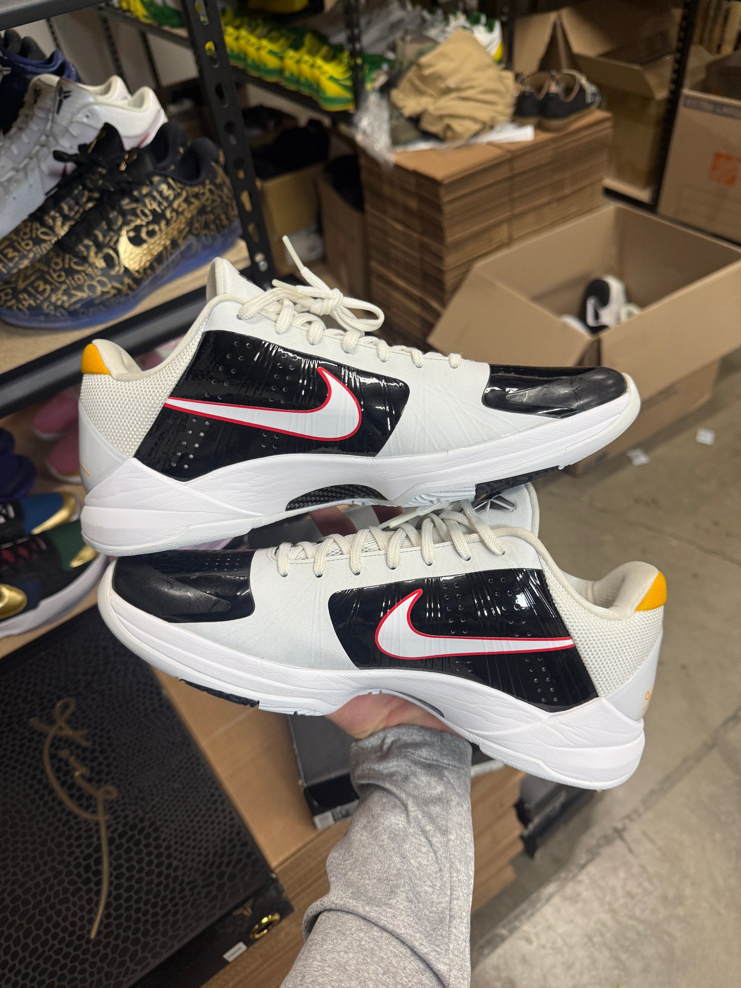 Kobe 5 Reverse Bruce Lee (11.5)