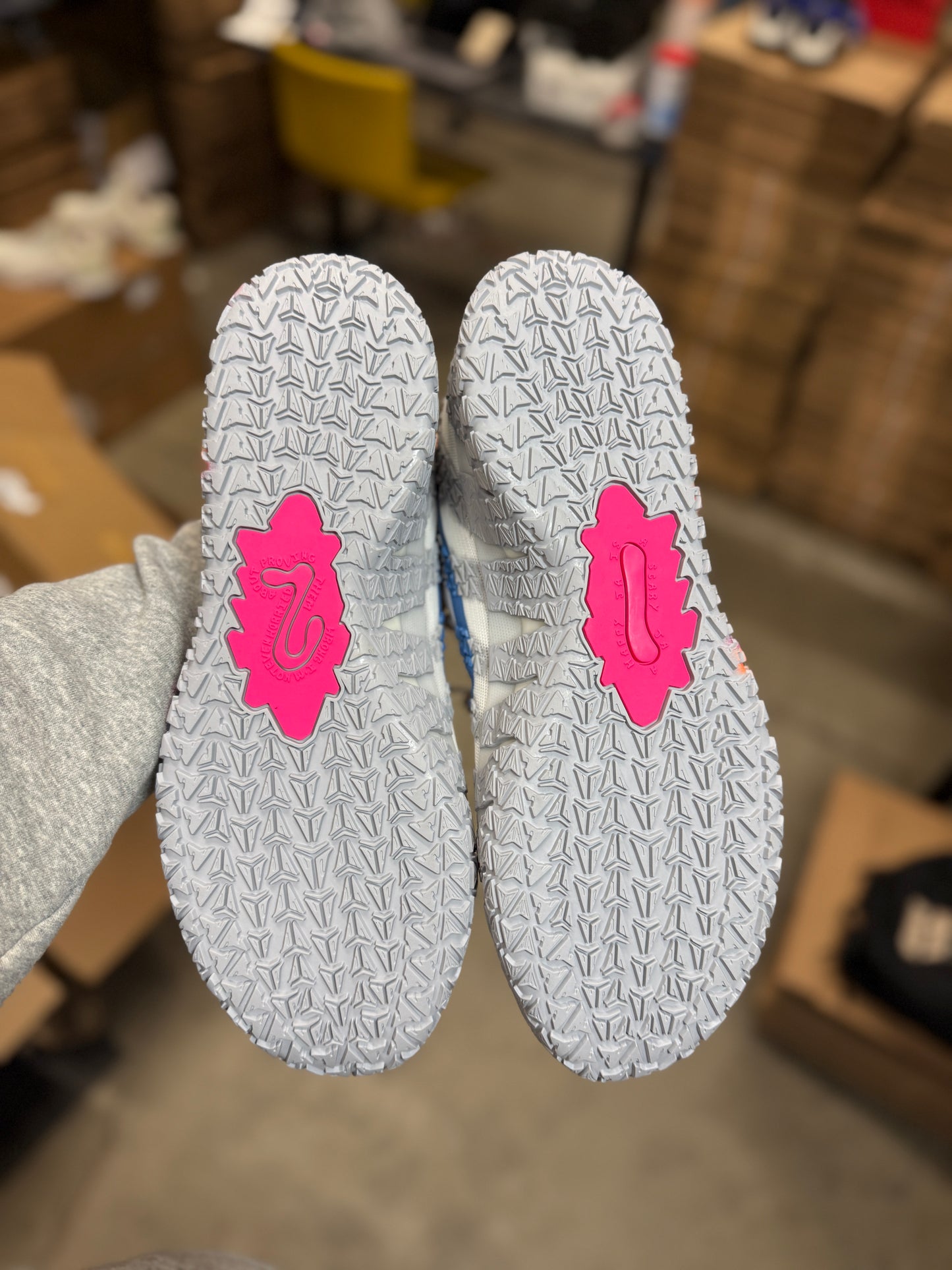 Ja 3 Light Show (14)