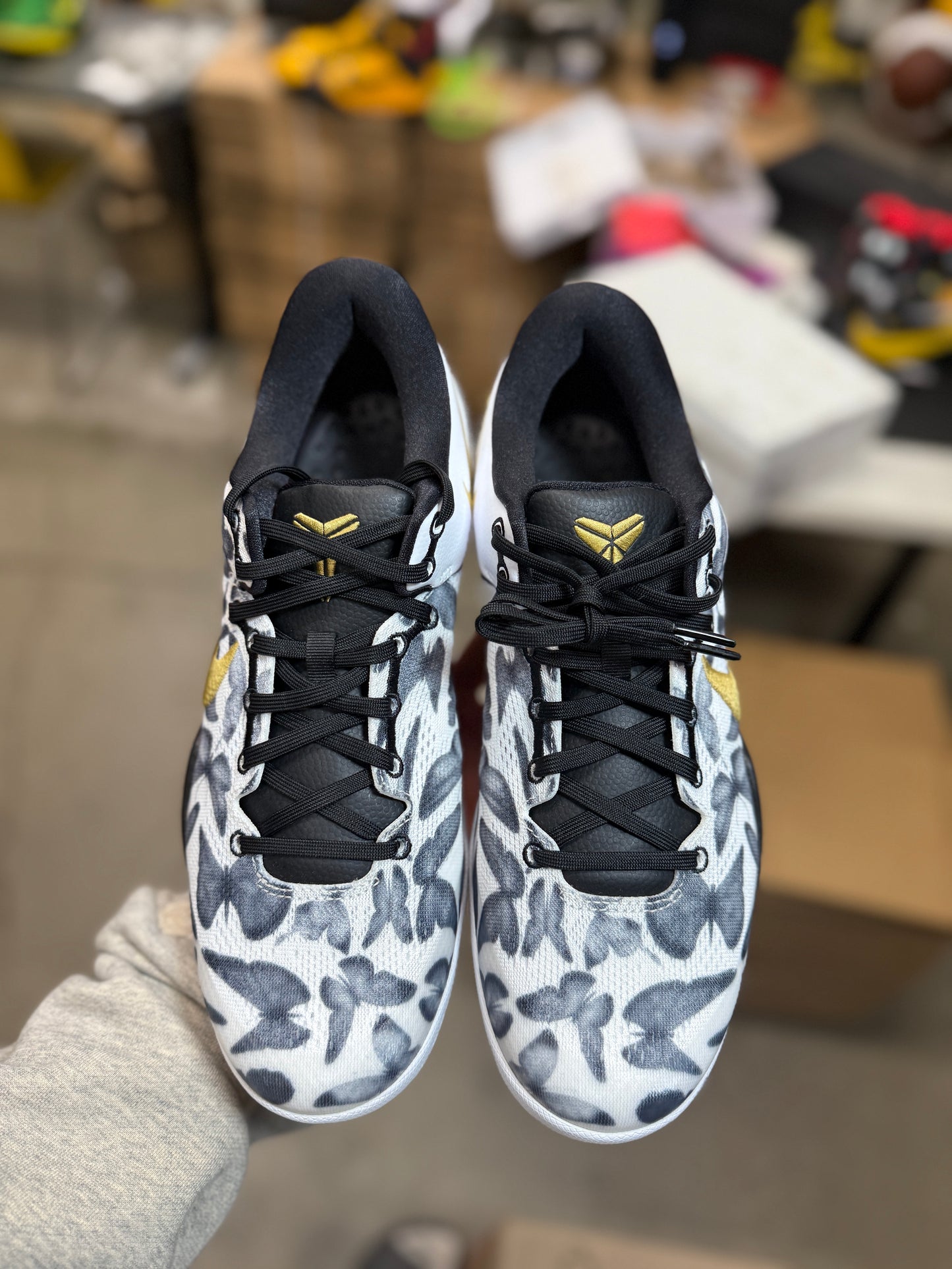 Kobe 8 Mambacita (11)