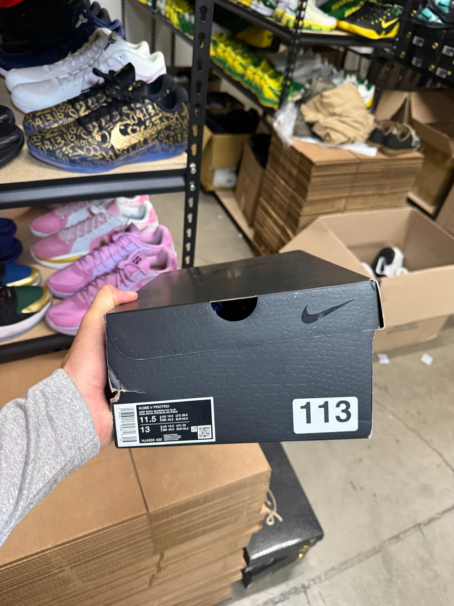 Kobe 5 X-Ray (11.5)