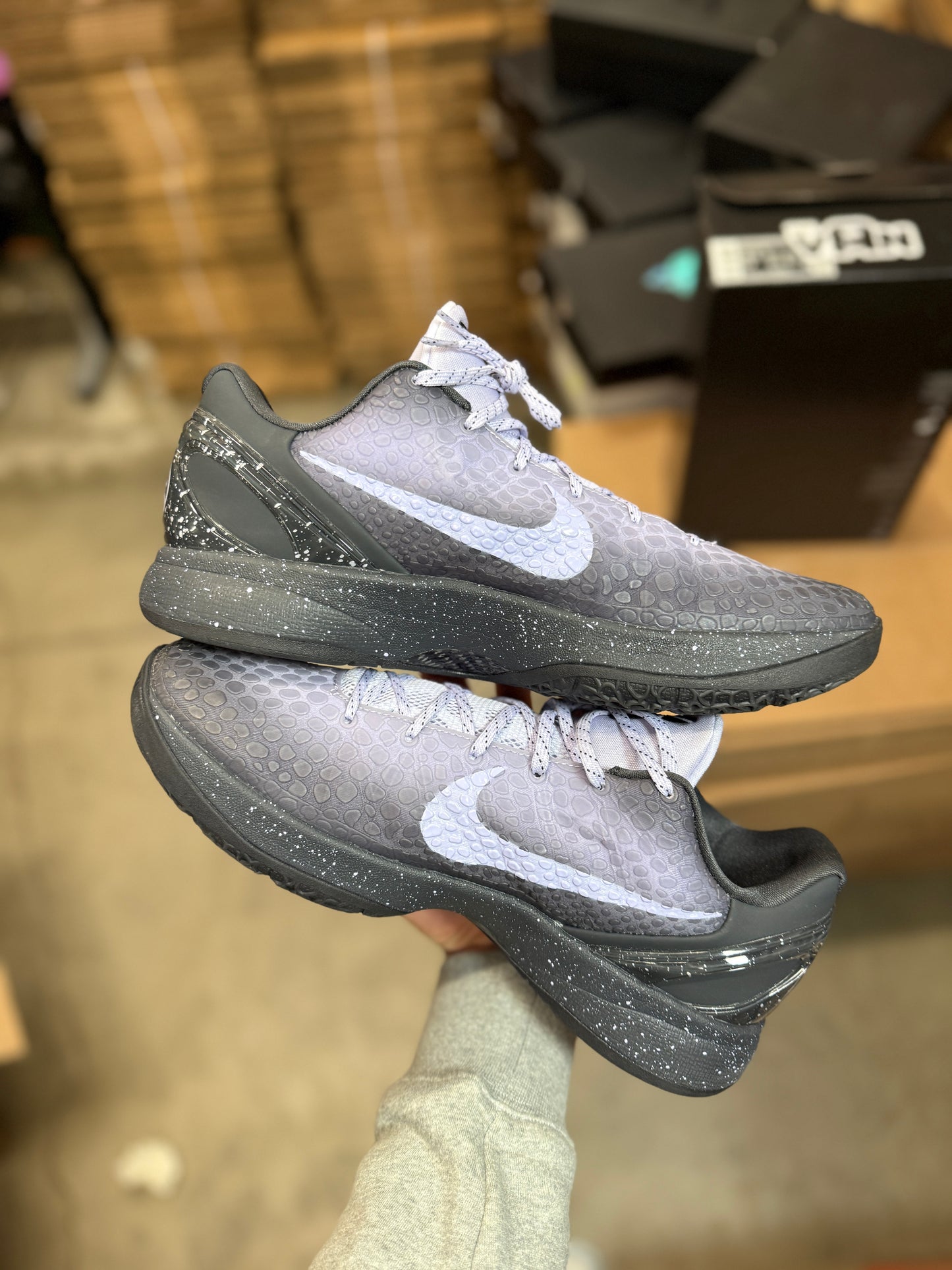 Kobe 6 Eybl (11.5)
