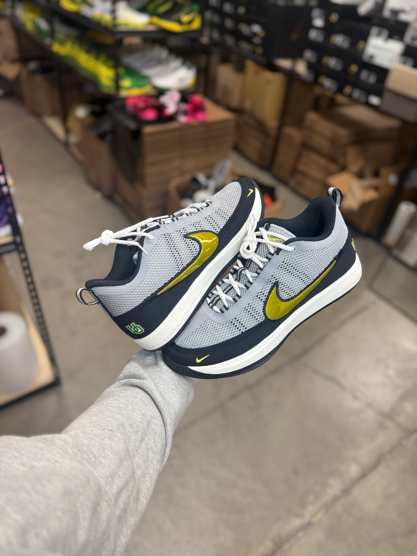 Dbook Oregon PE (11.5,13)