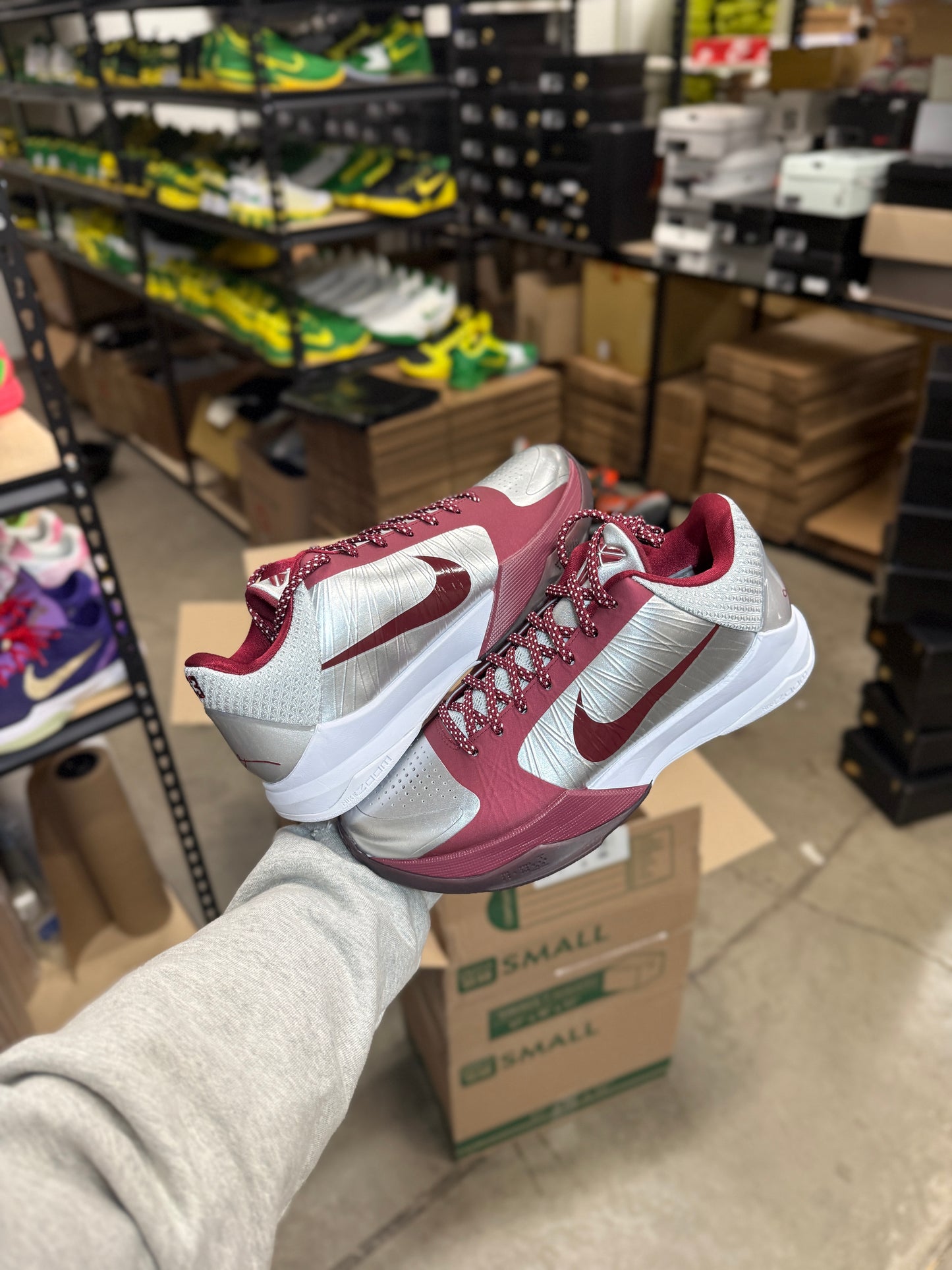 Kobe 5 Lower Merion