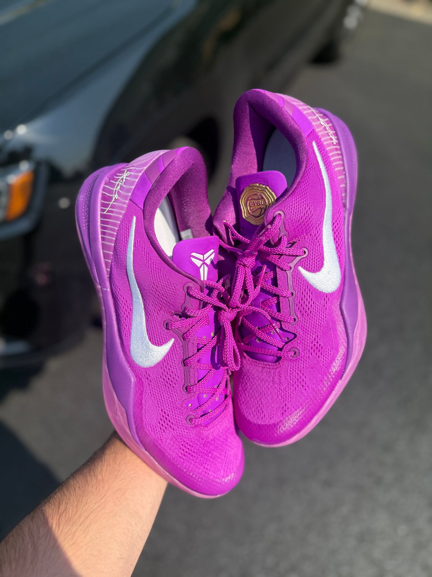 Eybl 8 (size 14)