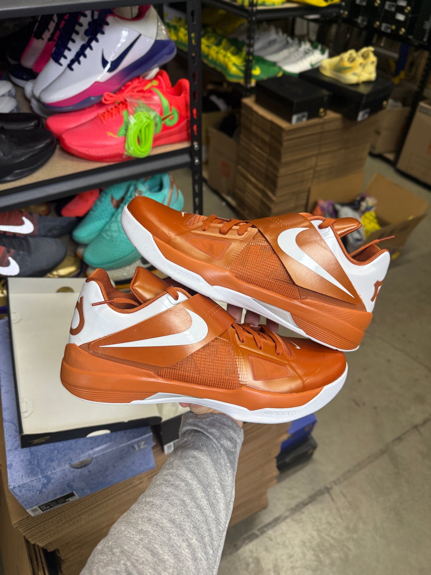 Kd4 Longhorns (13)