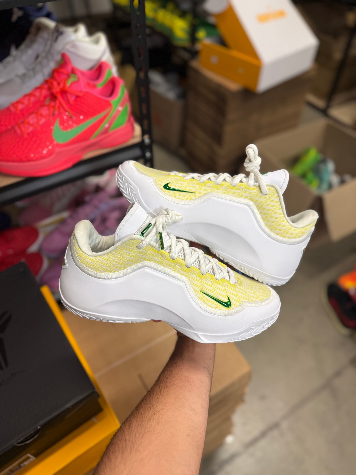 Bron Oregon PE (10.5)