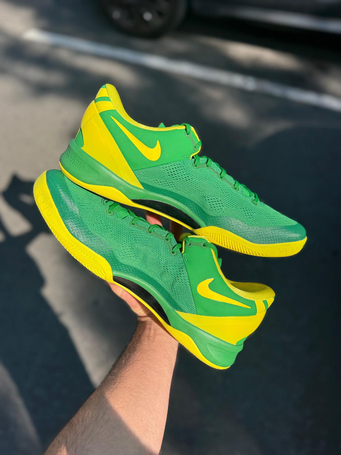 Oregon 8 PE (7.5,9.5,11.5,13)