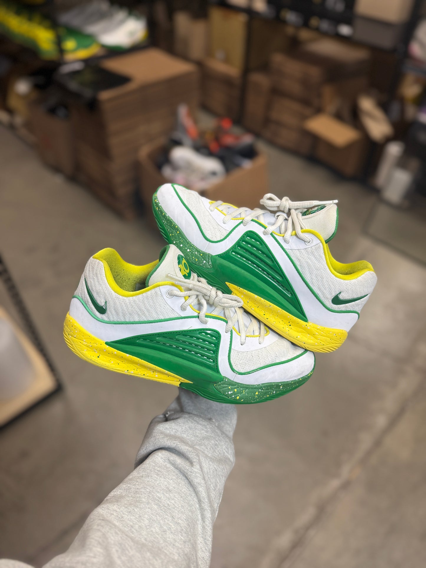 Kd Oregon PE (9)