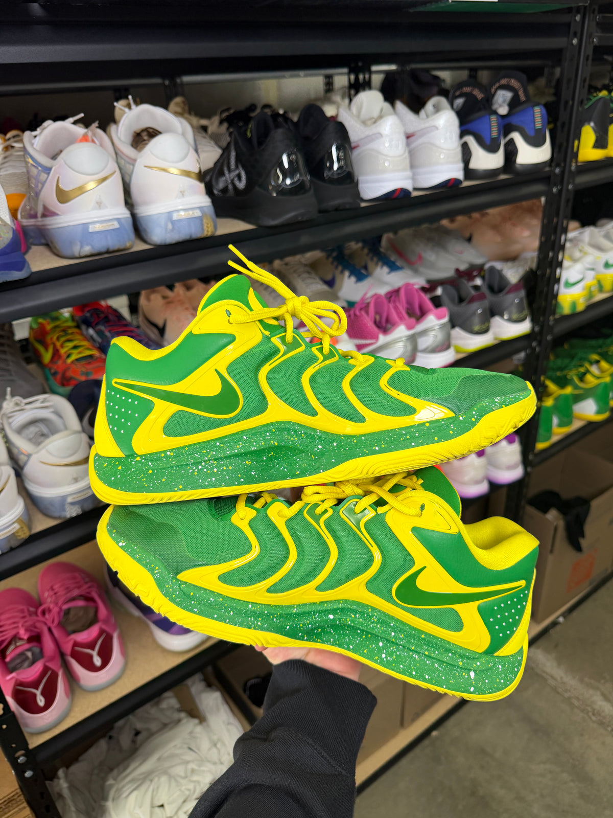 Kd17 Oregon PE (13)