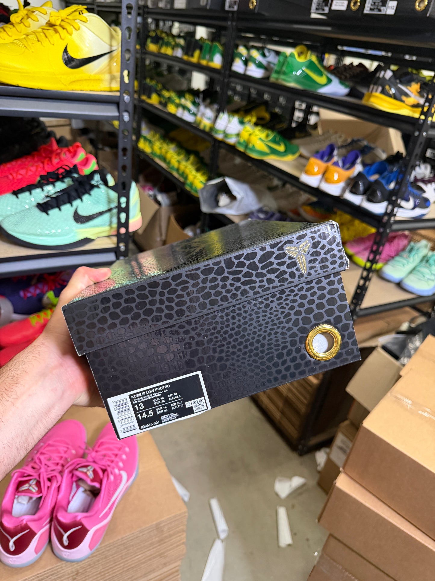 Kobe 3 Eybl (13)