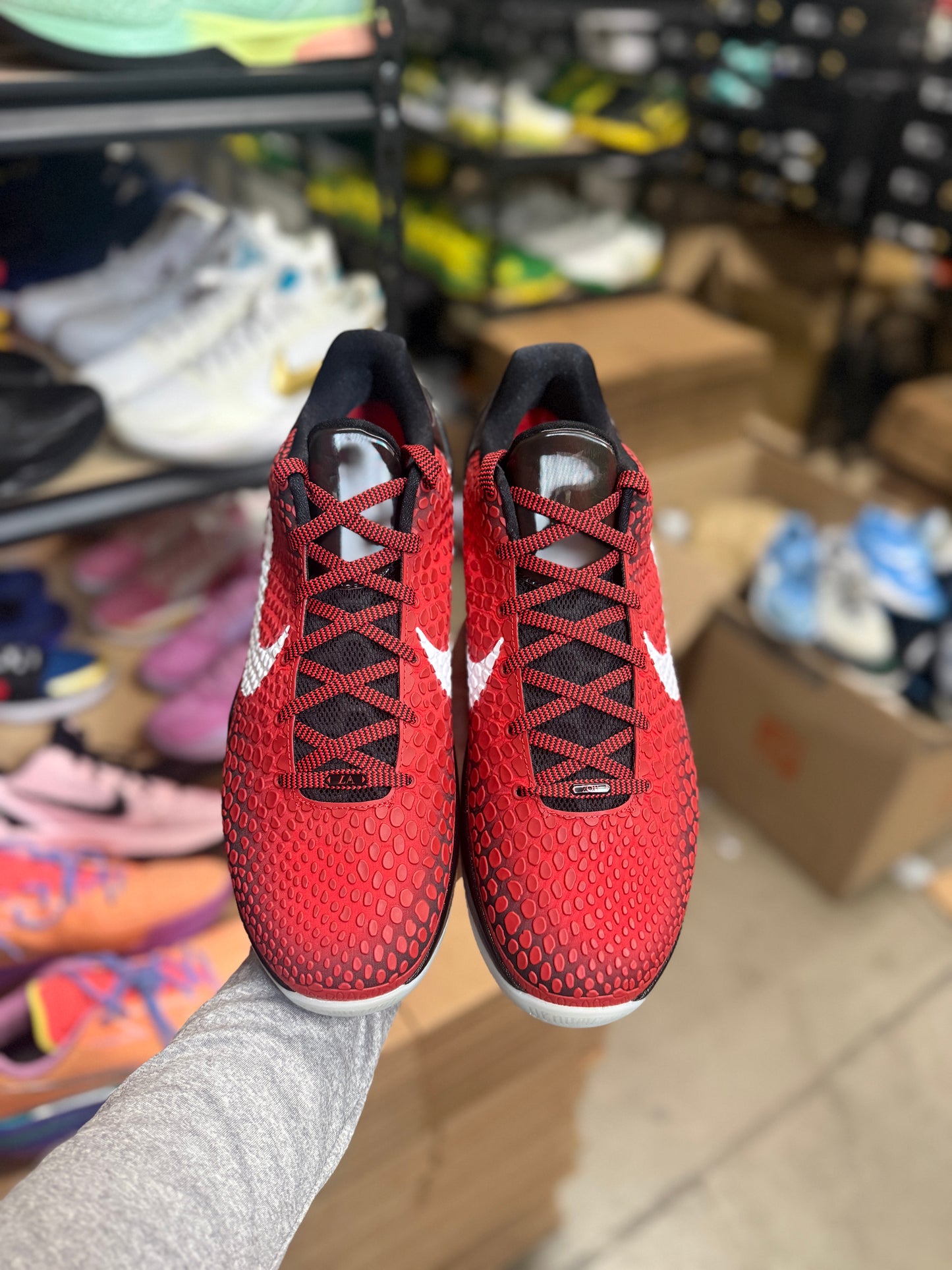 Kobe 6 Allstar (13.5)