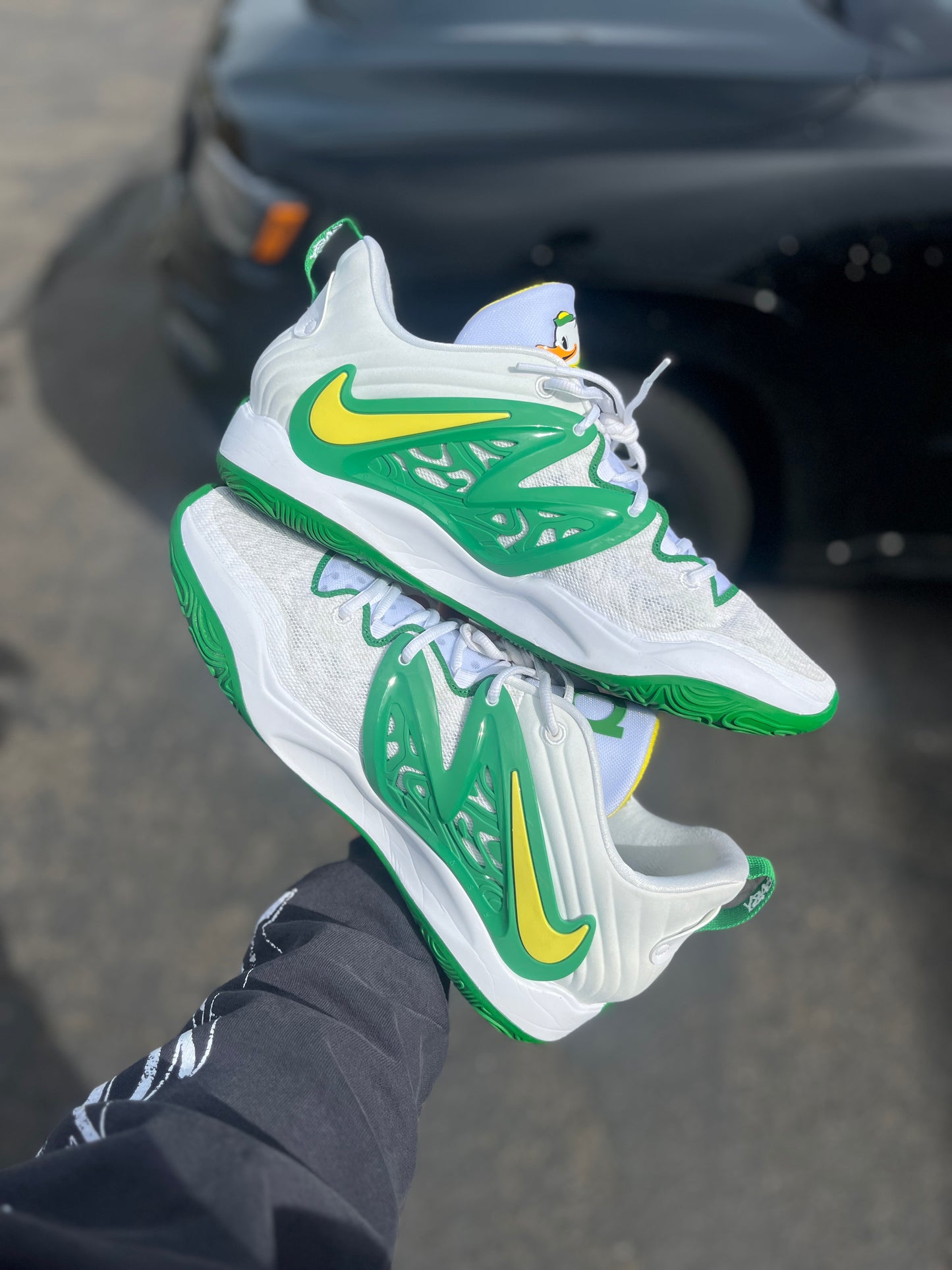 Kd15 Oregon PE (size 15)