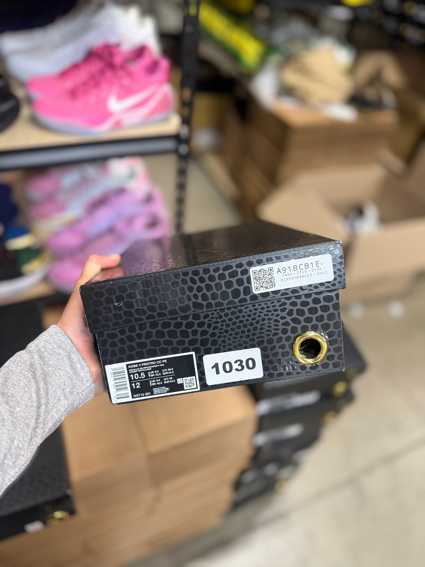 Kobe 5 Caitlin Clark Roty (10.5)